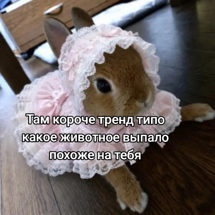 @Крол