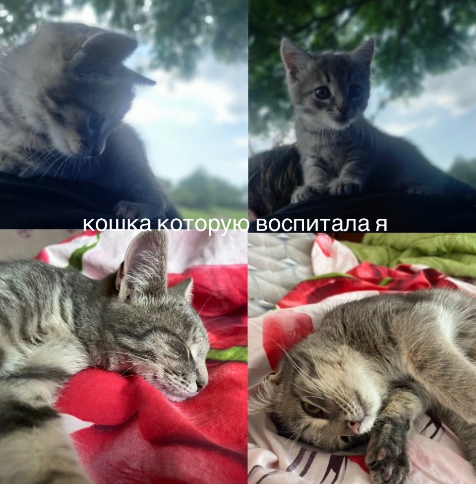 @Аринэ🍷