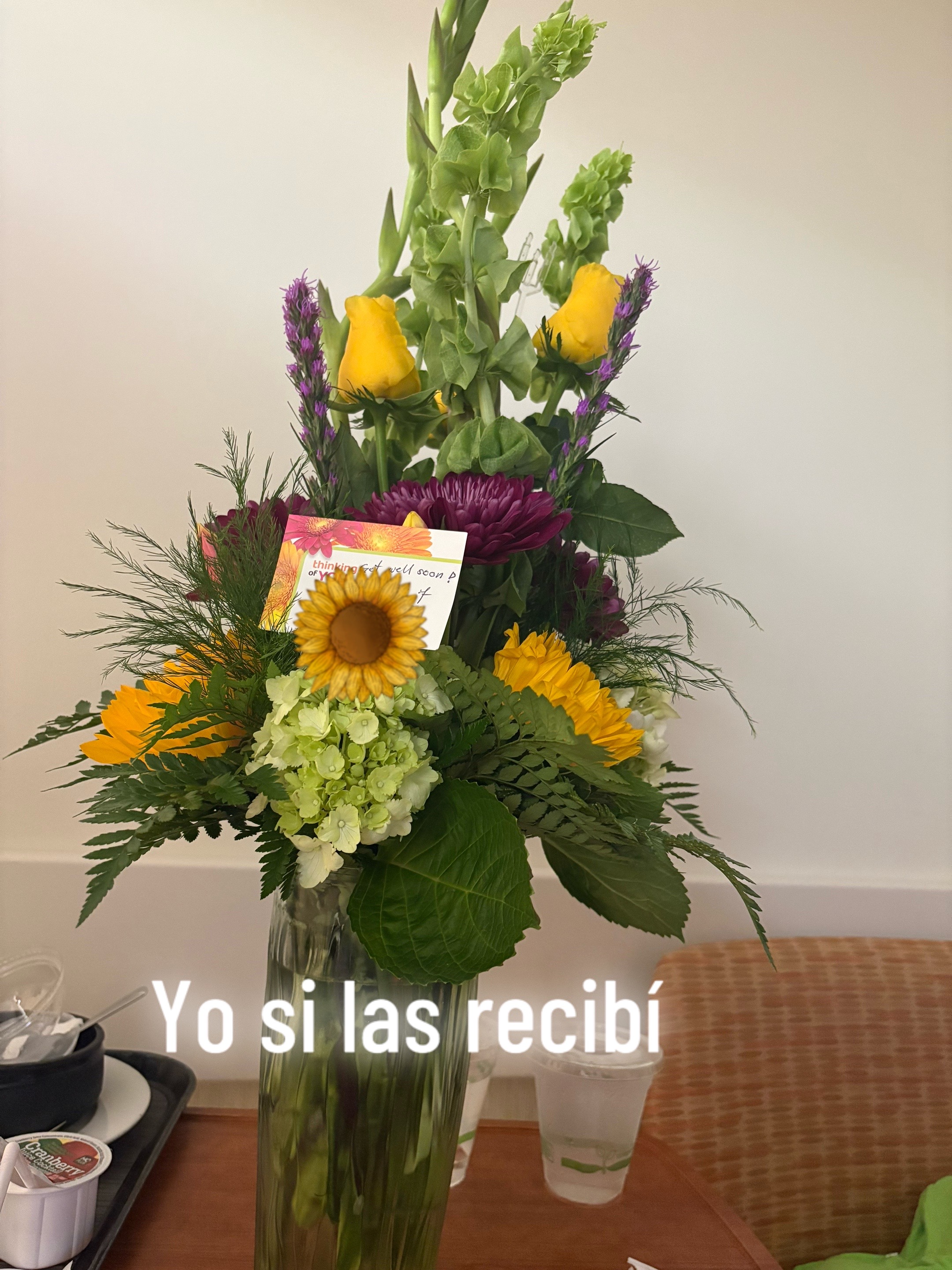 @💜🌹VERO🇸🇻