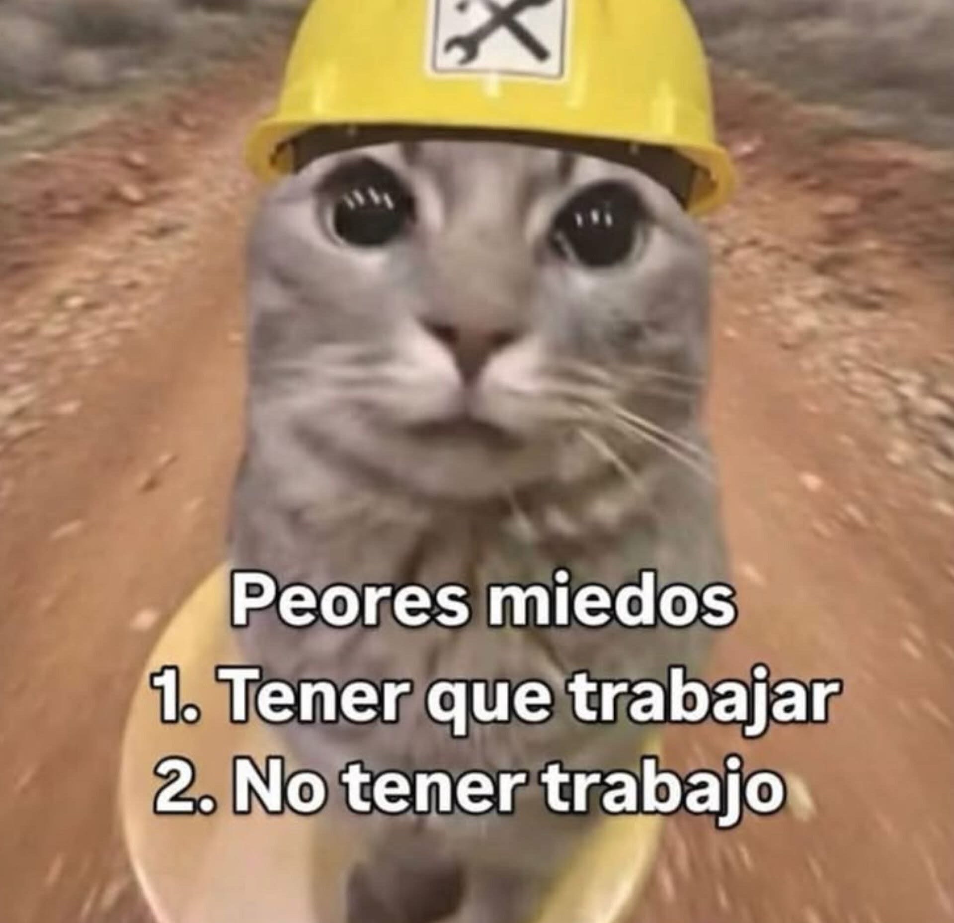 @roofer_lg