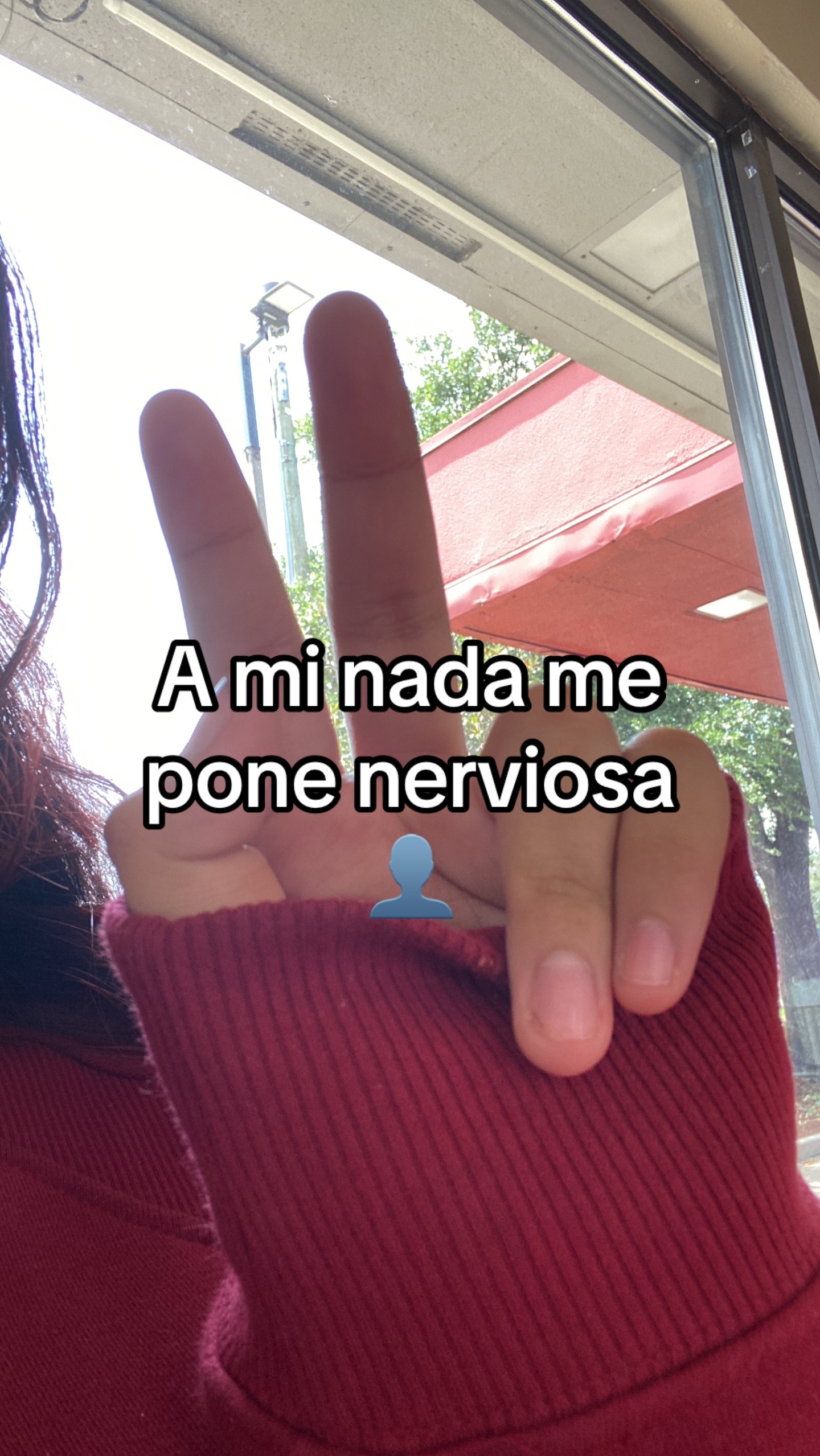 @🇸🇻