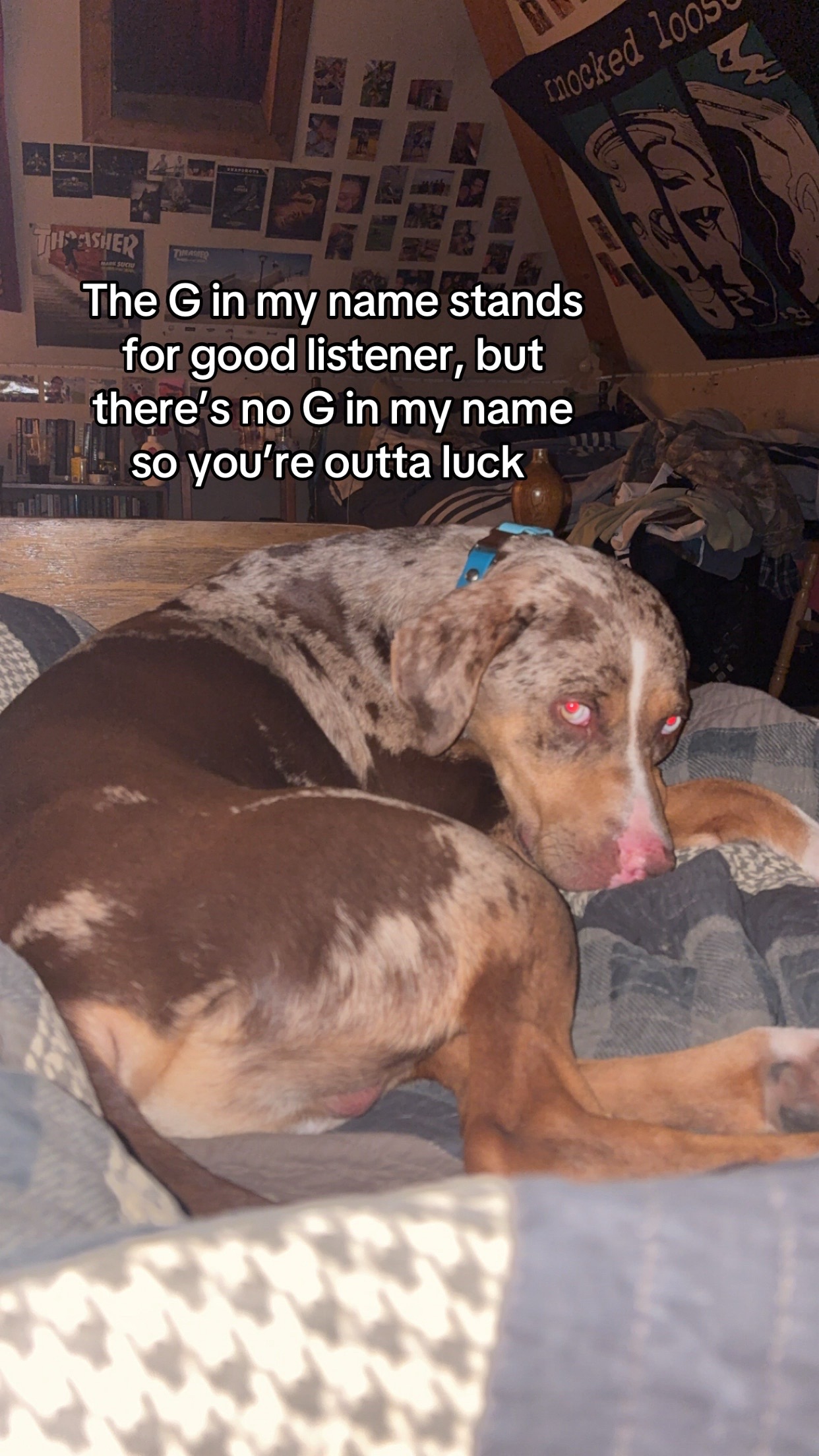 @Waylon
