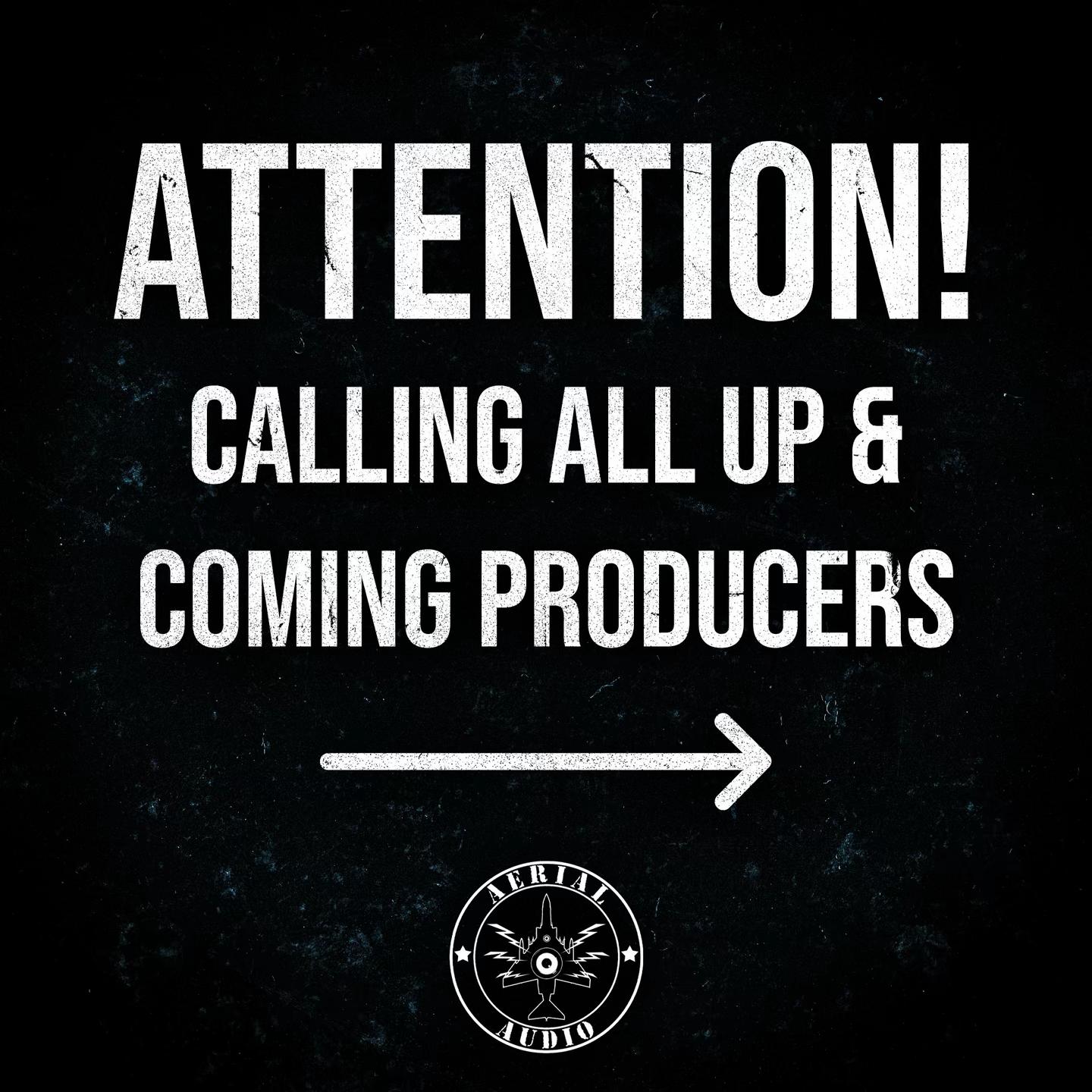 @aerial.audio