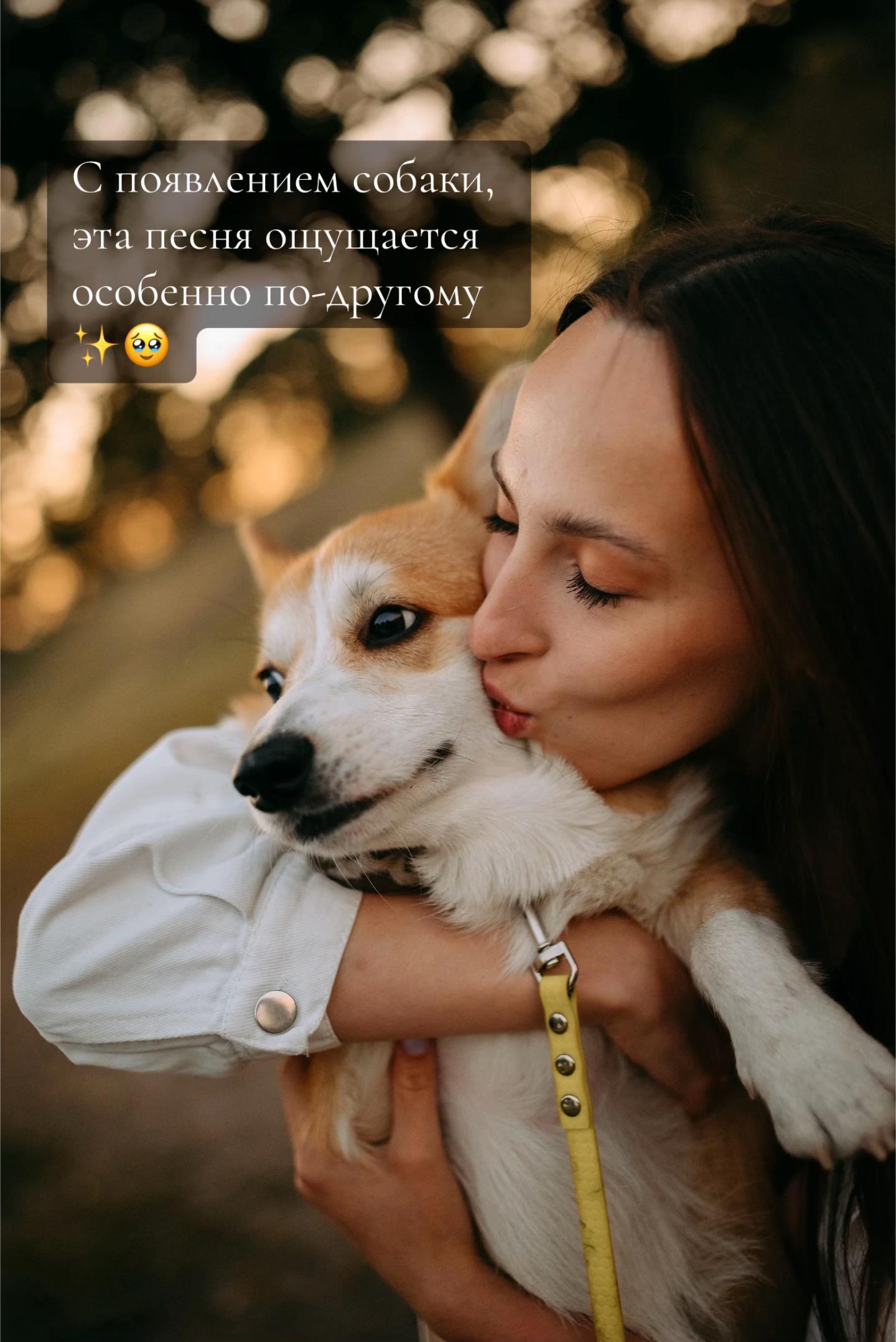 @corgimom.alntz