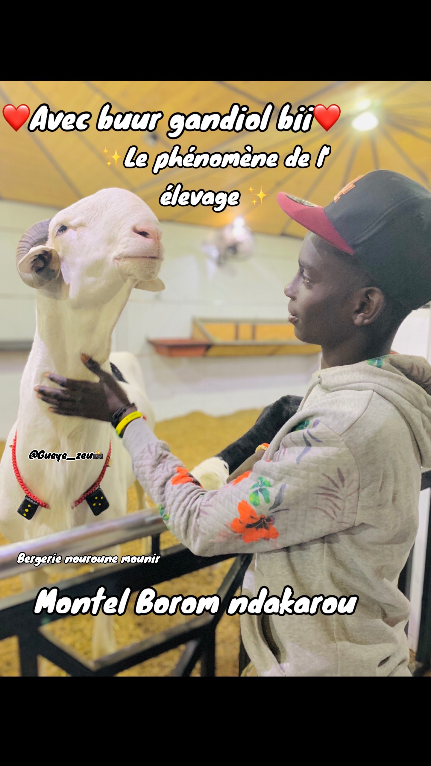 @@Gueye_zeu📸