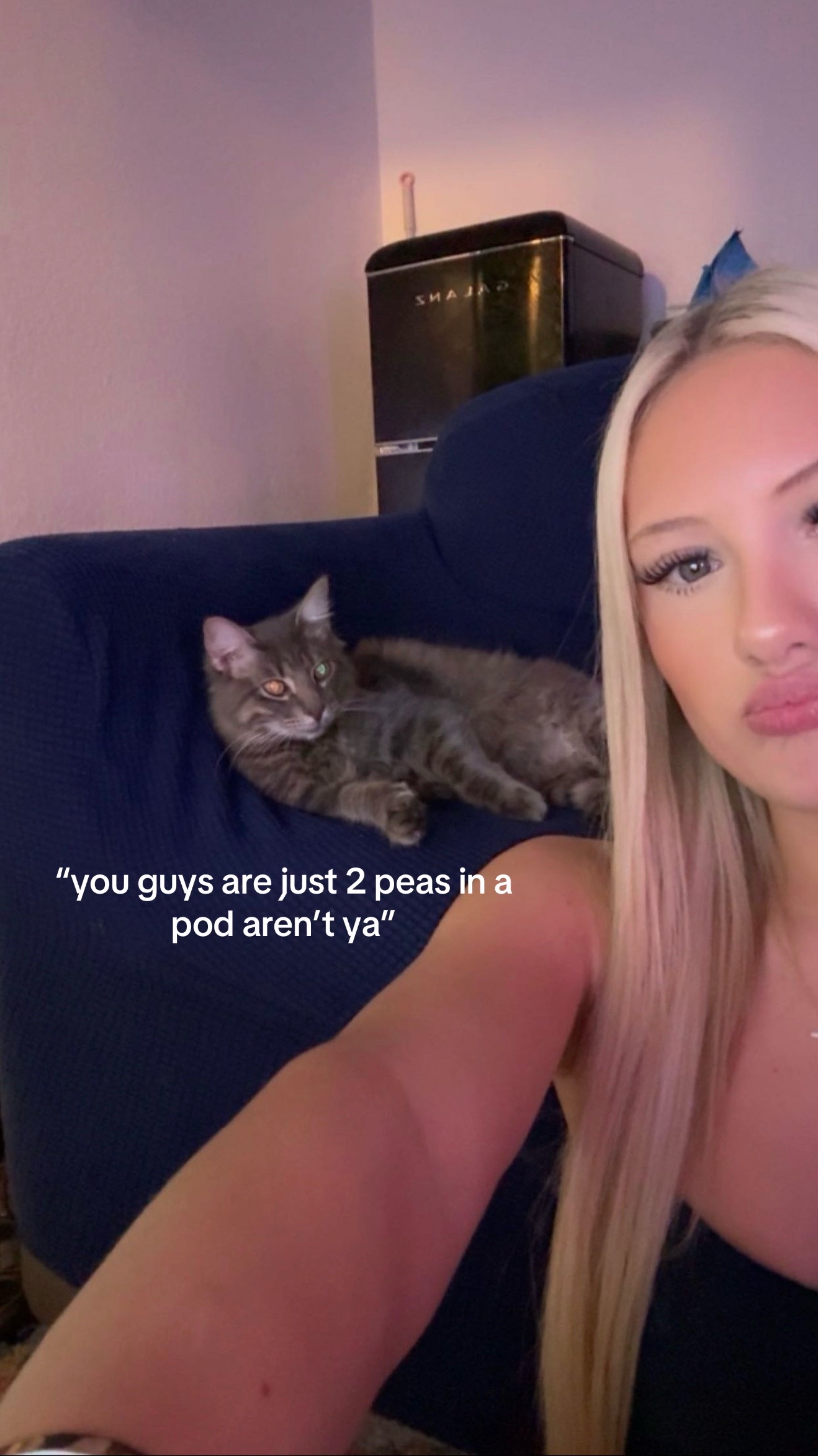 @braelynn