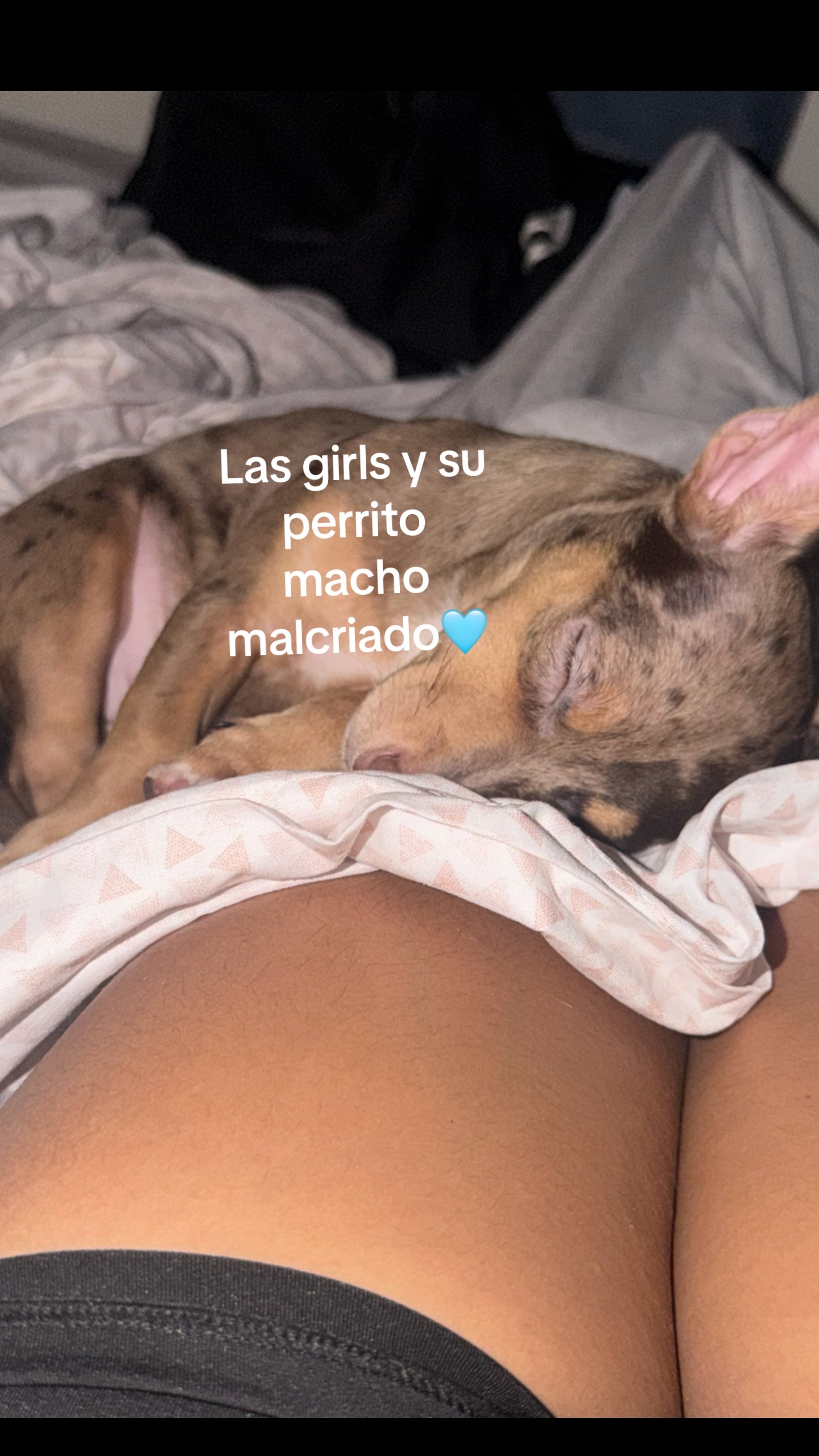 @Angelita Monroy