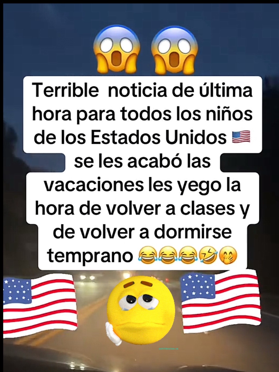 @la ni&ntilde;a de tus hojos 👧