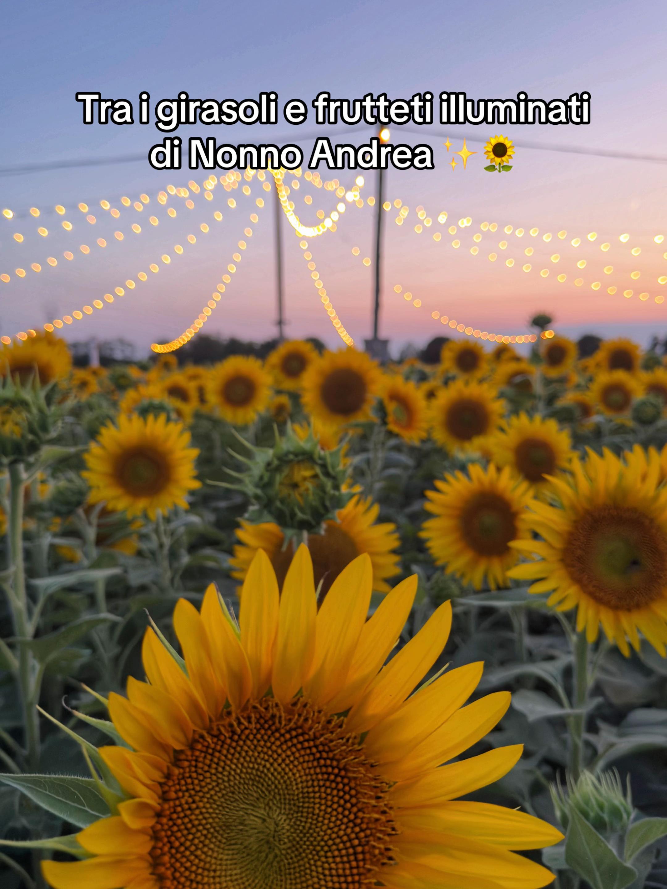 @Nonno Andrea