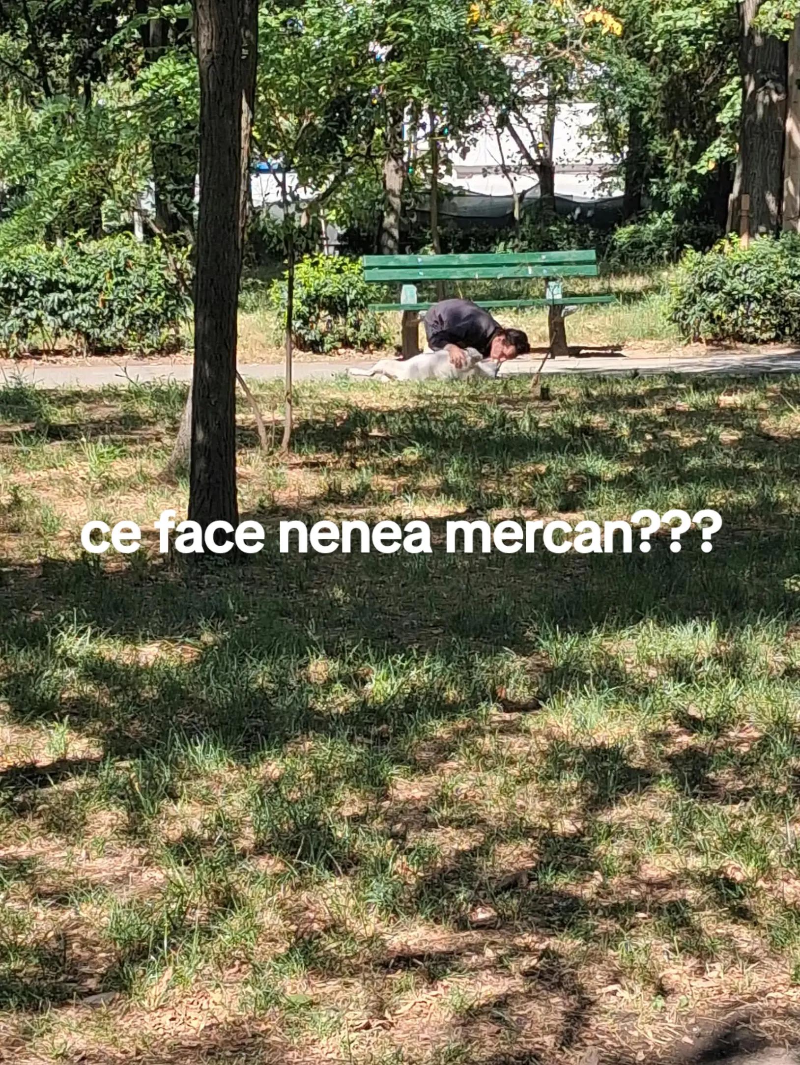 @Justițiarul_de_galați