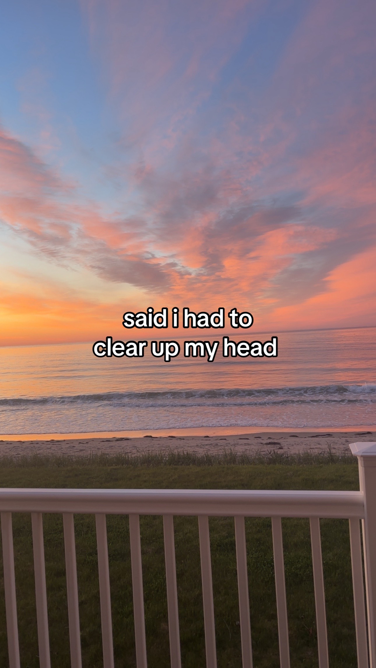 @hayleigh