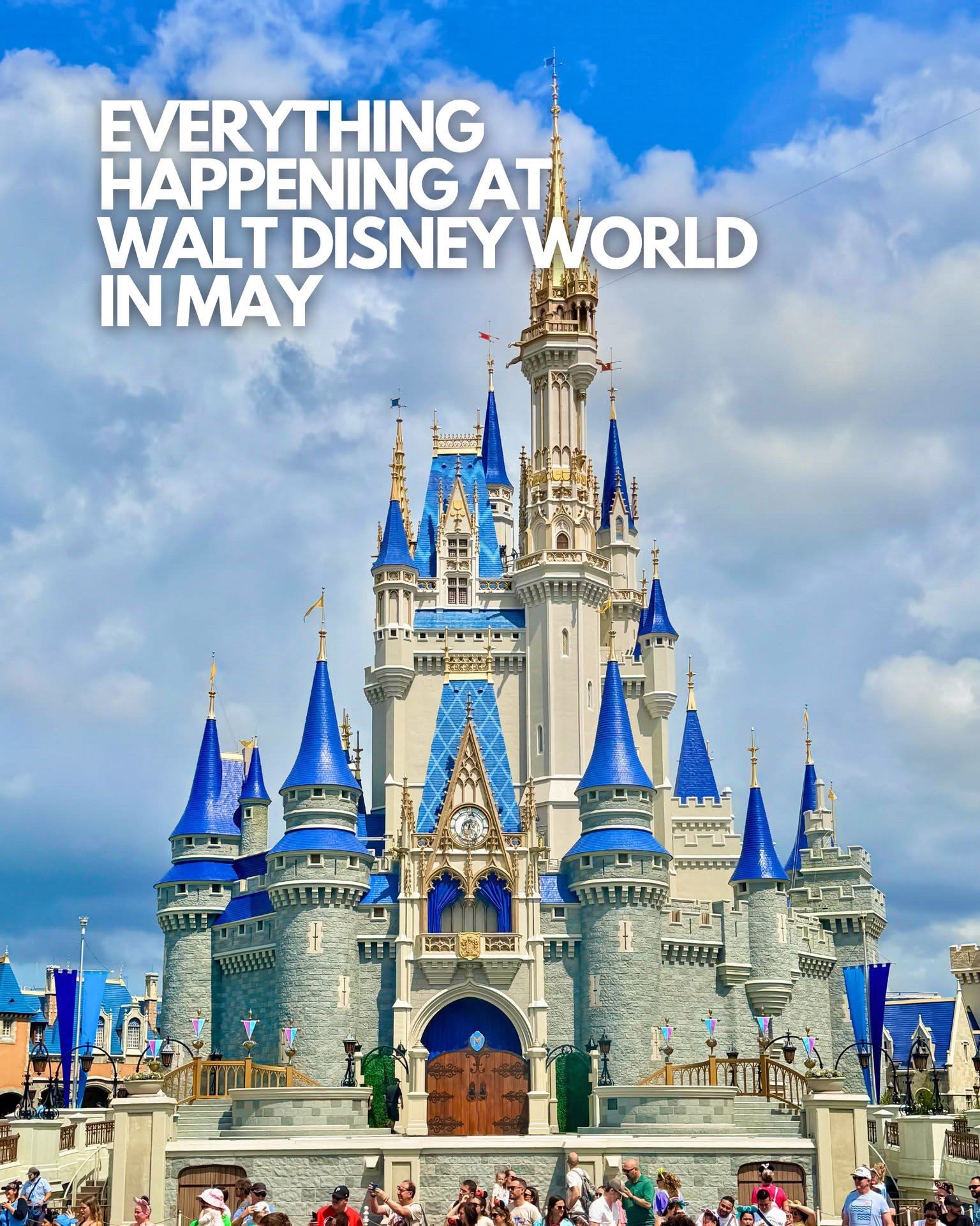 @Disney Trip&Tips With Tiny