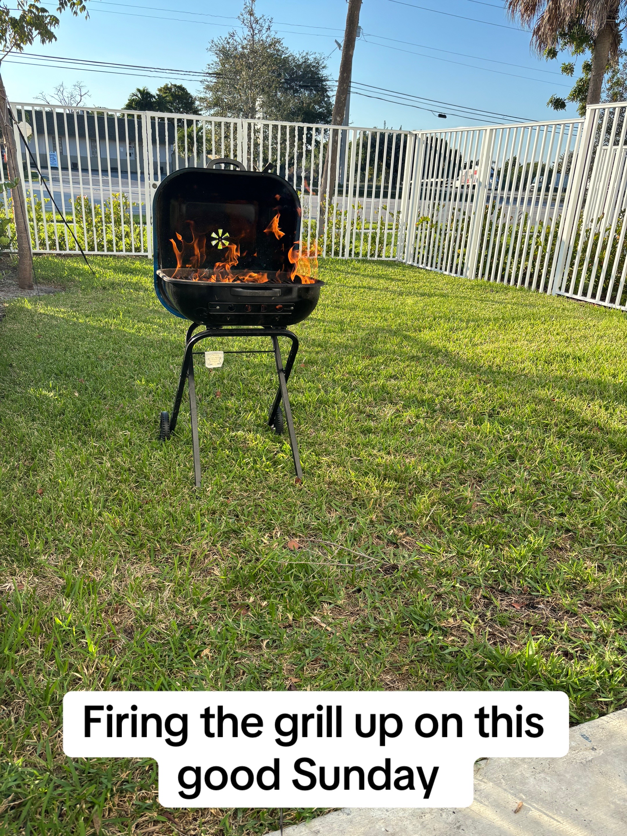 @Pewpew life _954