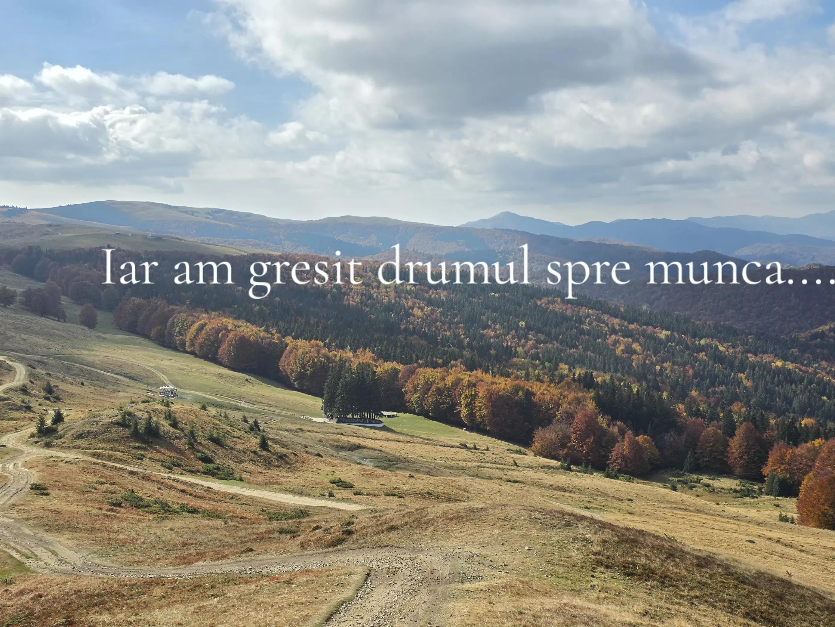 @Raluca Chirică