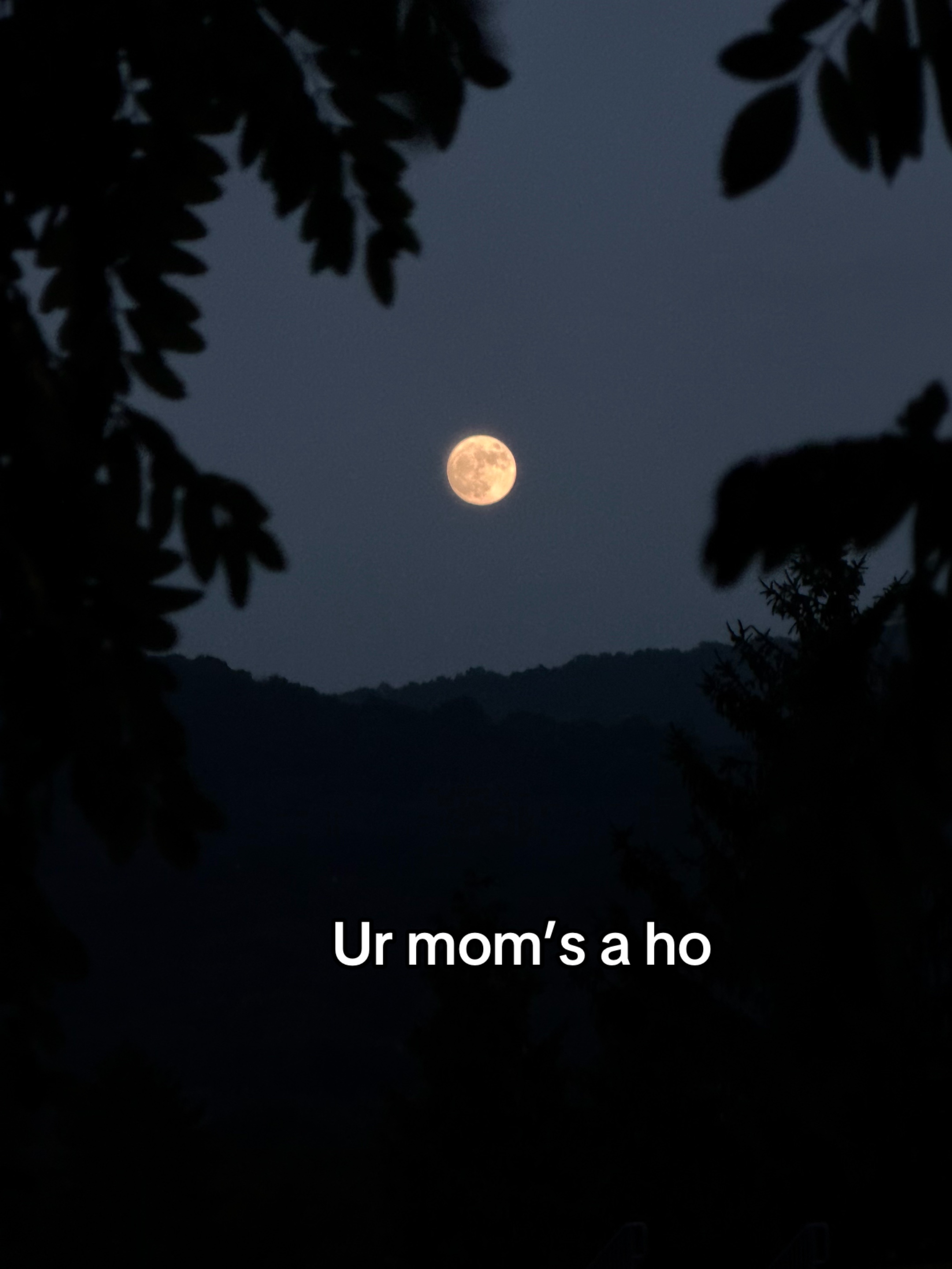 @Kim