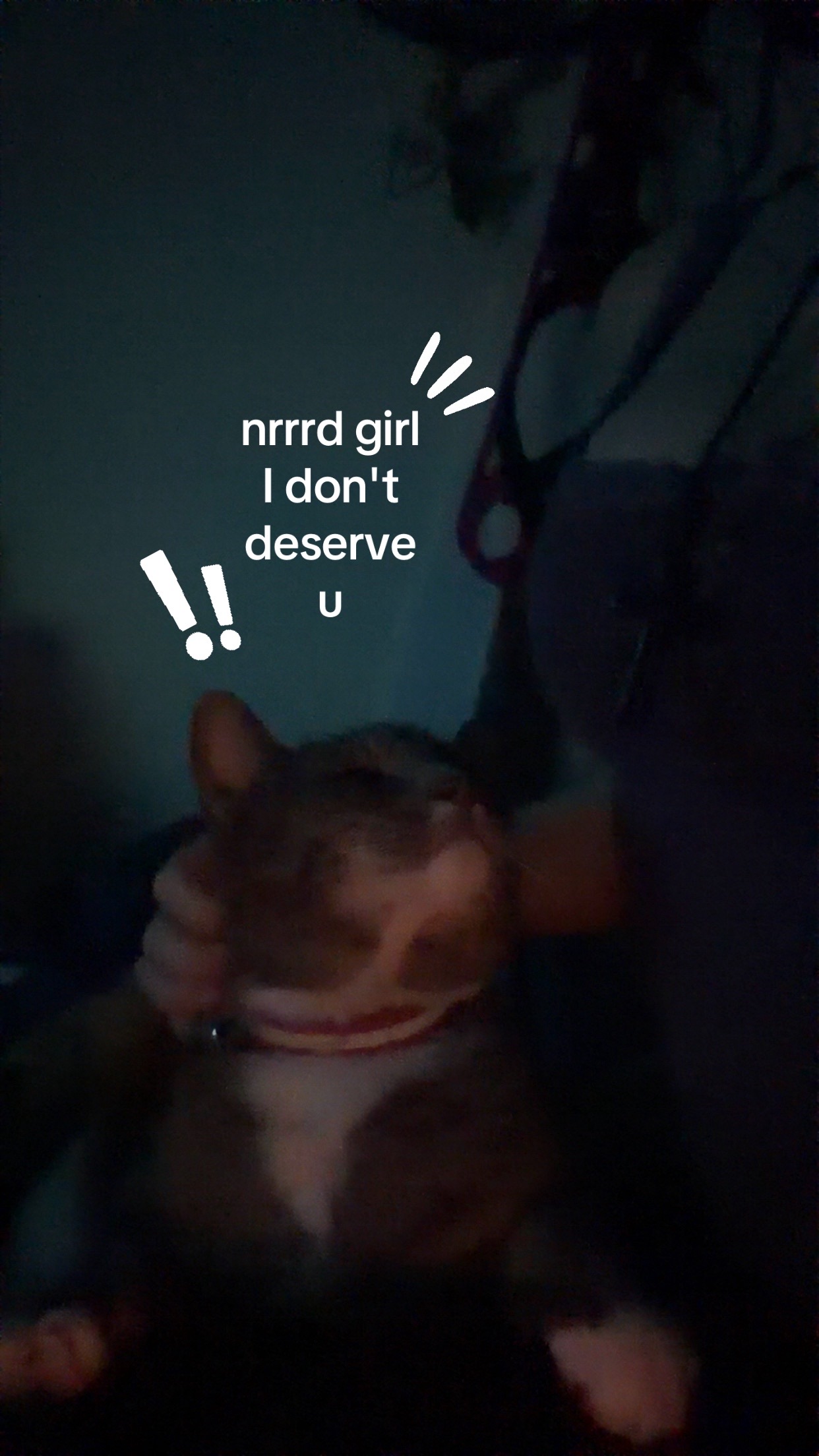 @nika