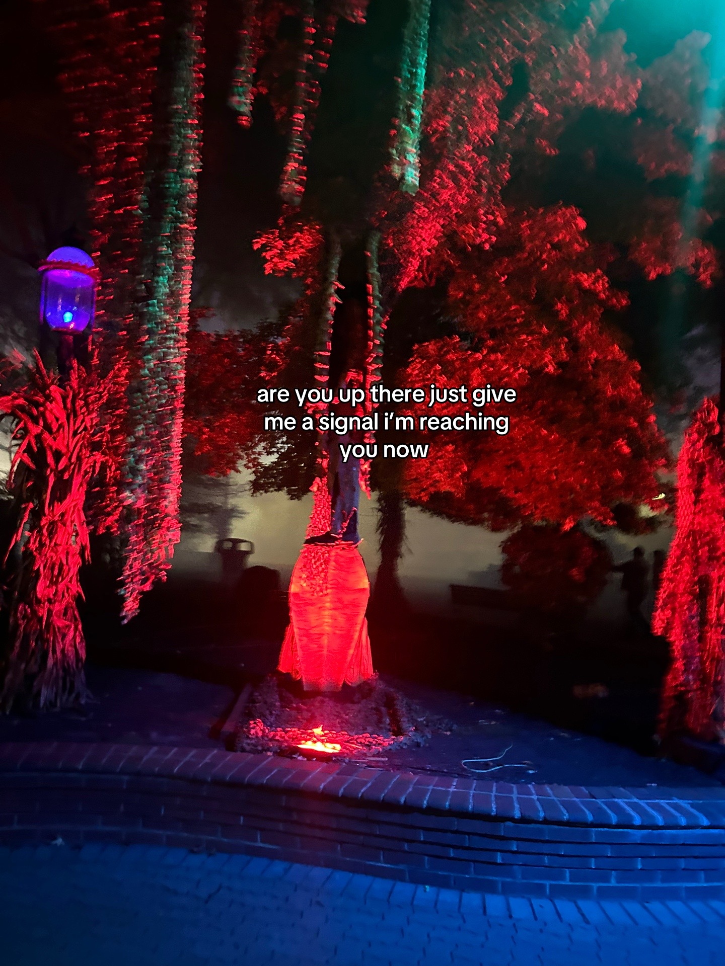 @tori🩻