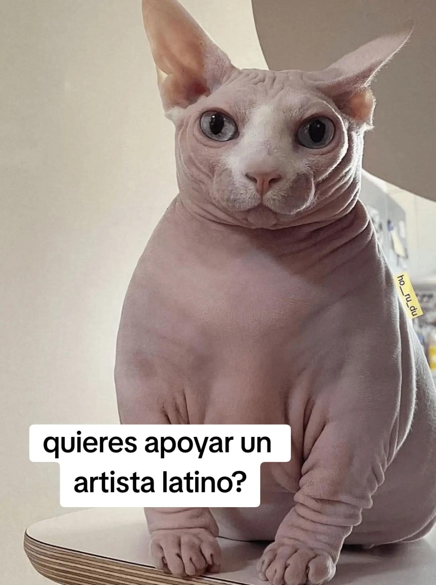 @Robot