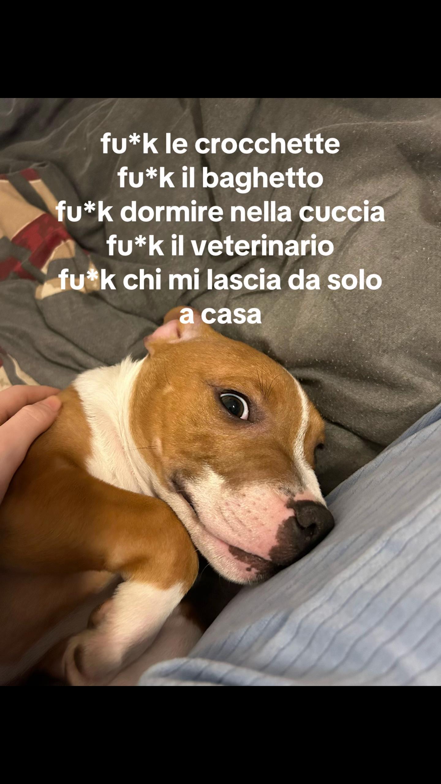 @siamobravecomeilpane