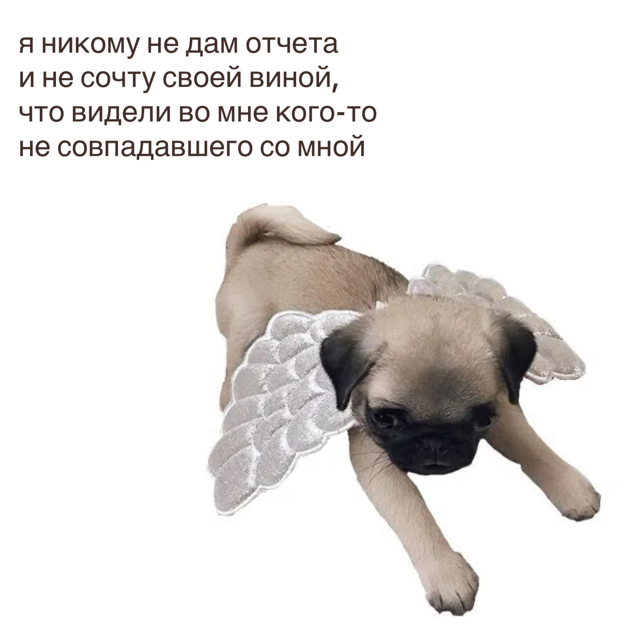 @𝗉𝖺𝗋𝖺𝗇𝗈𝗂𝖽 𝗌𝗁𝖺𝗆𝖾