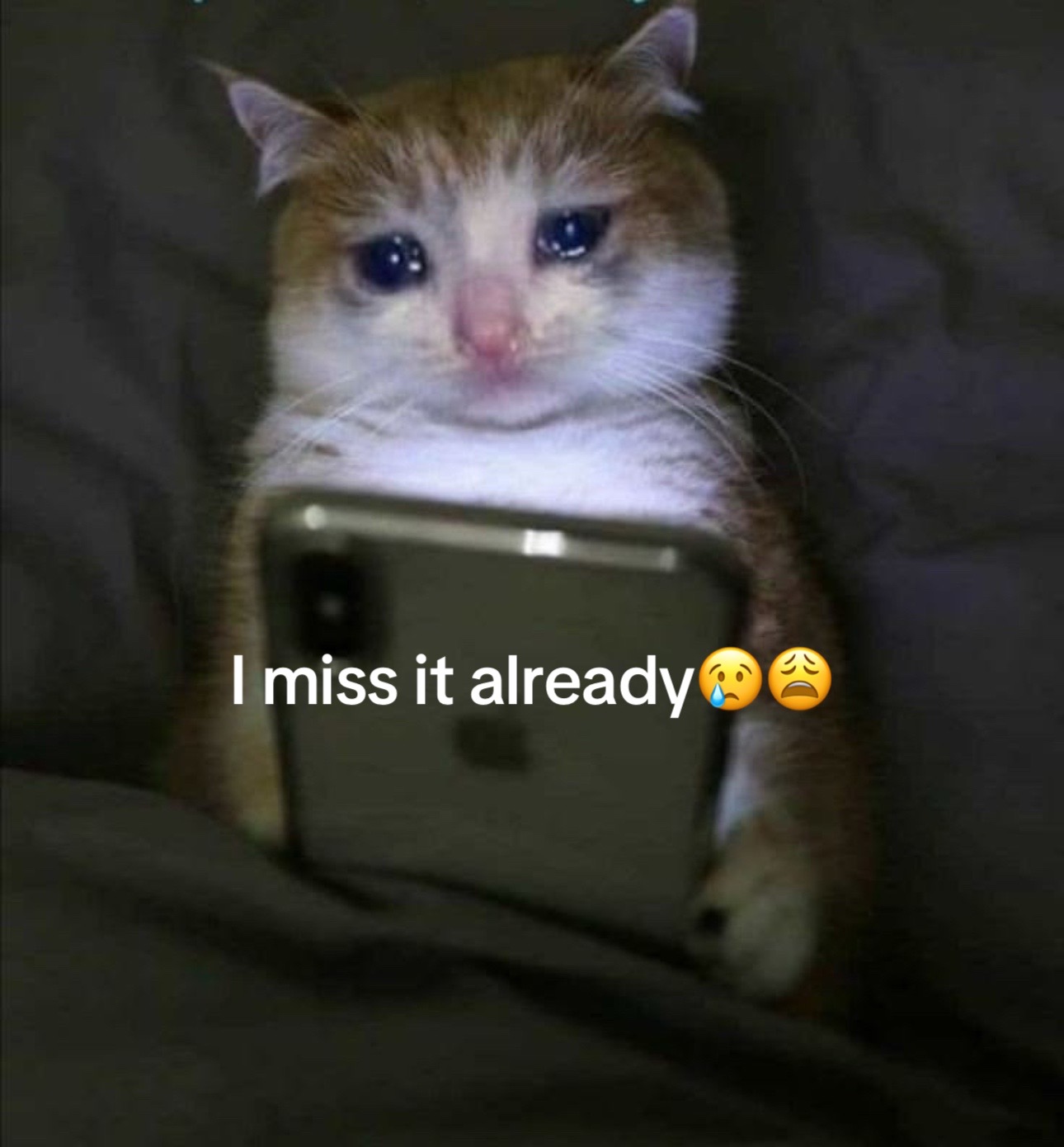 @Steph