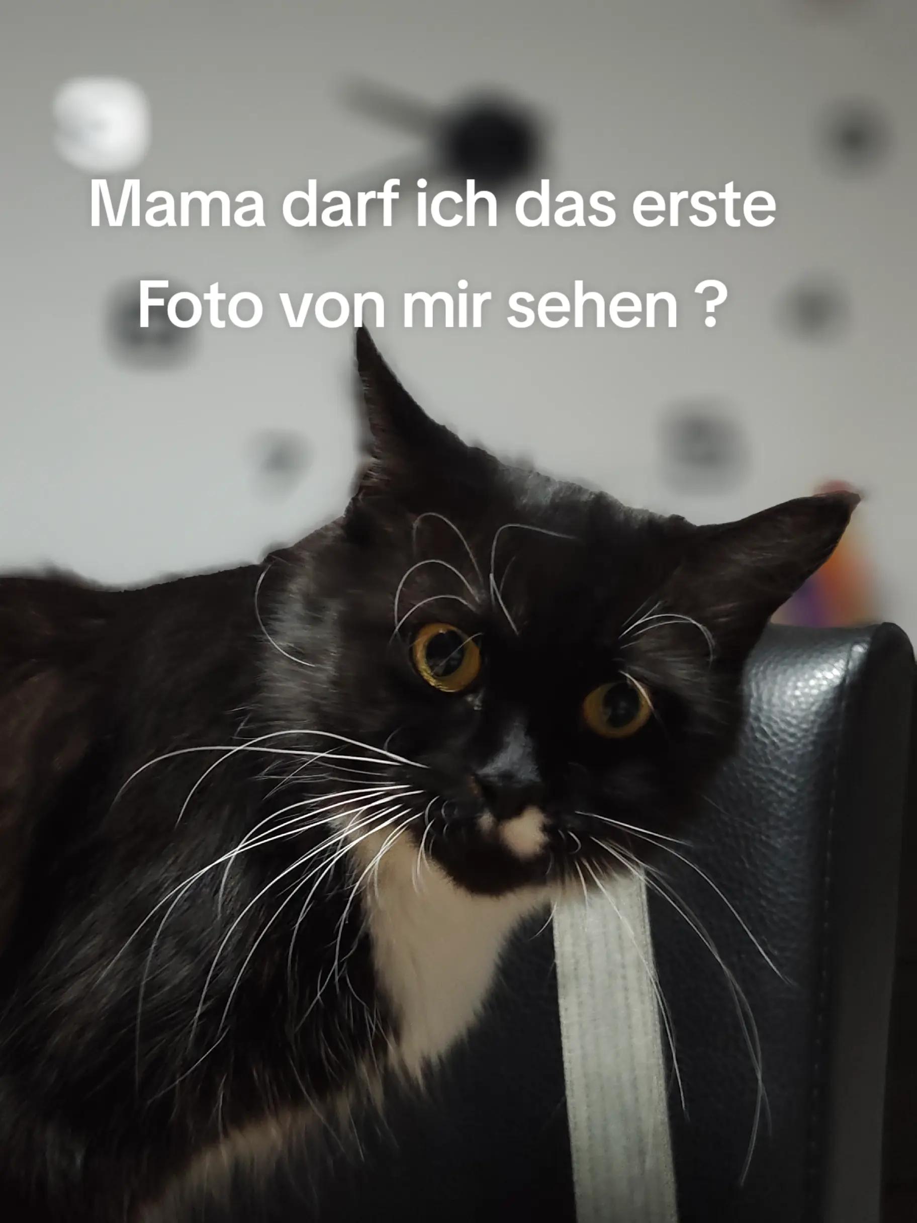 @Mona