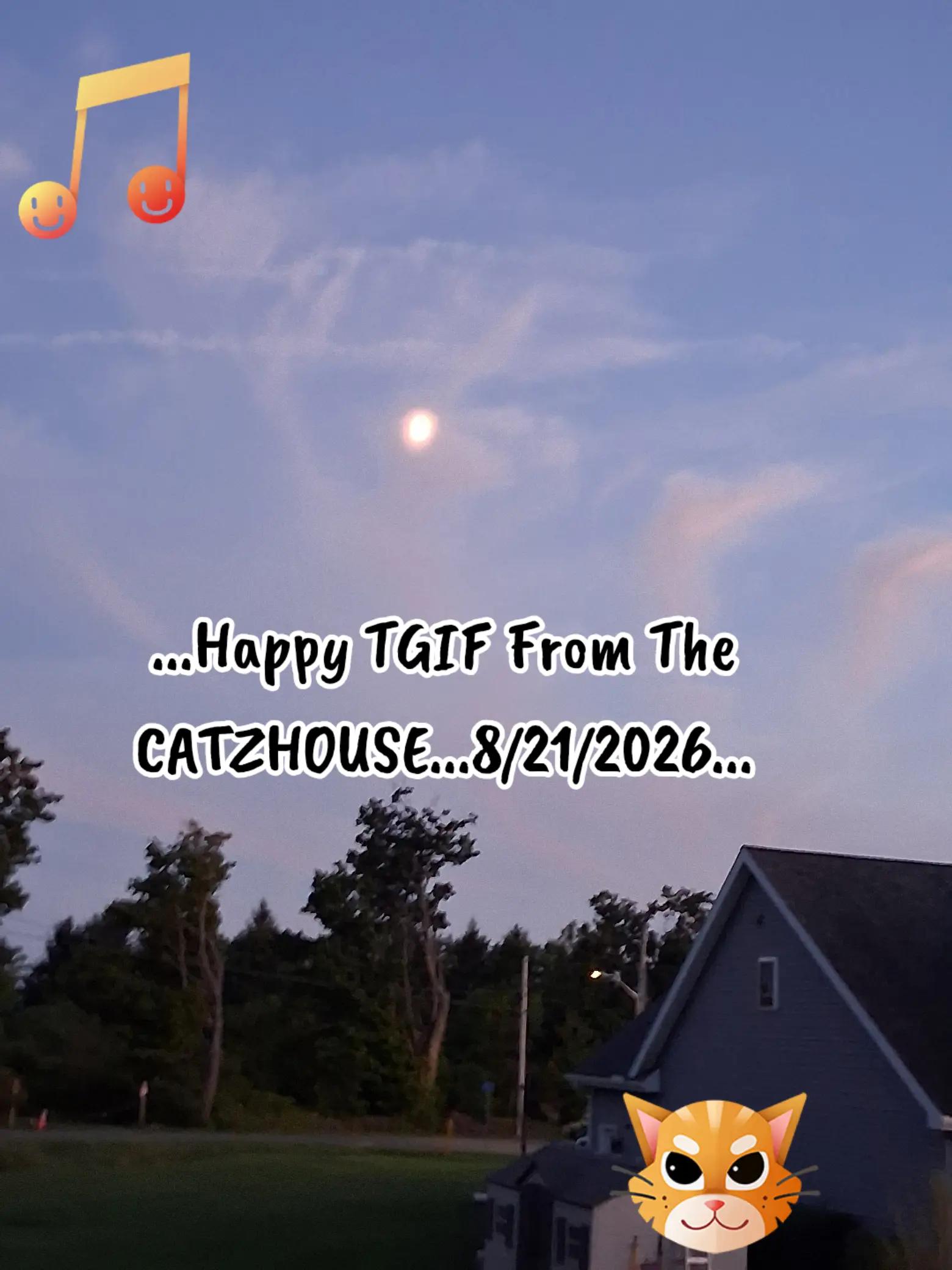 @Booh Hovey crazycatlady3