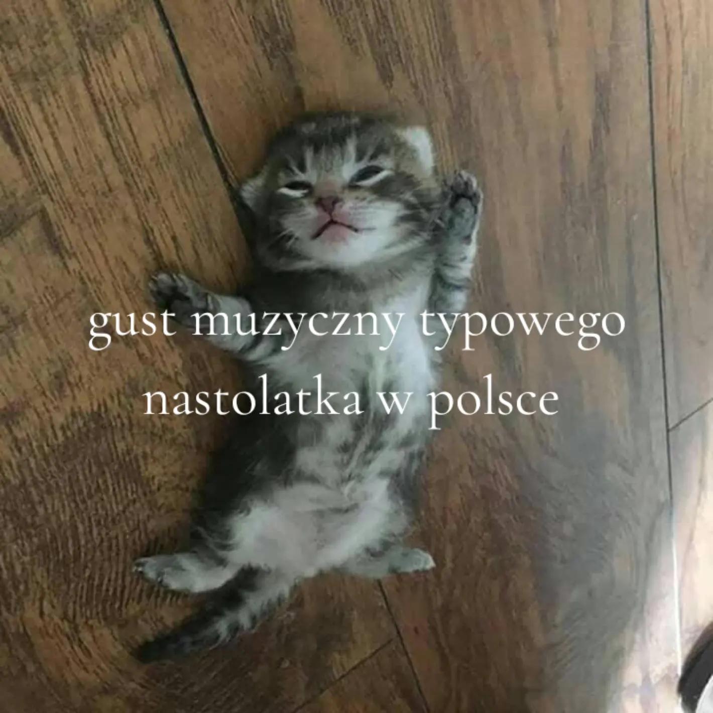 @larpiarz🪽