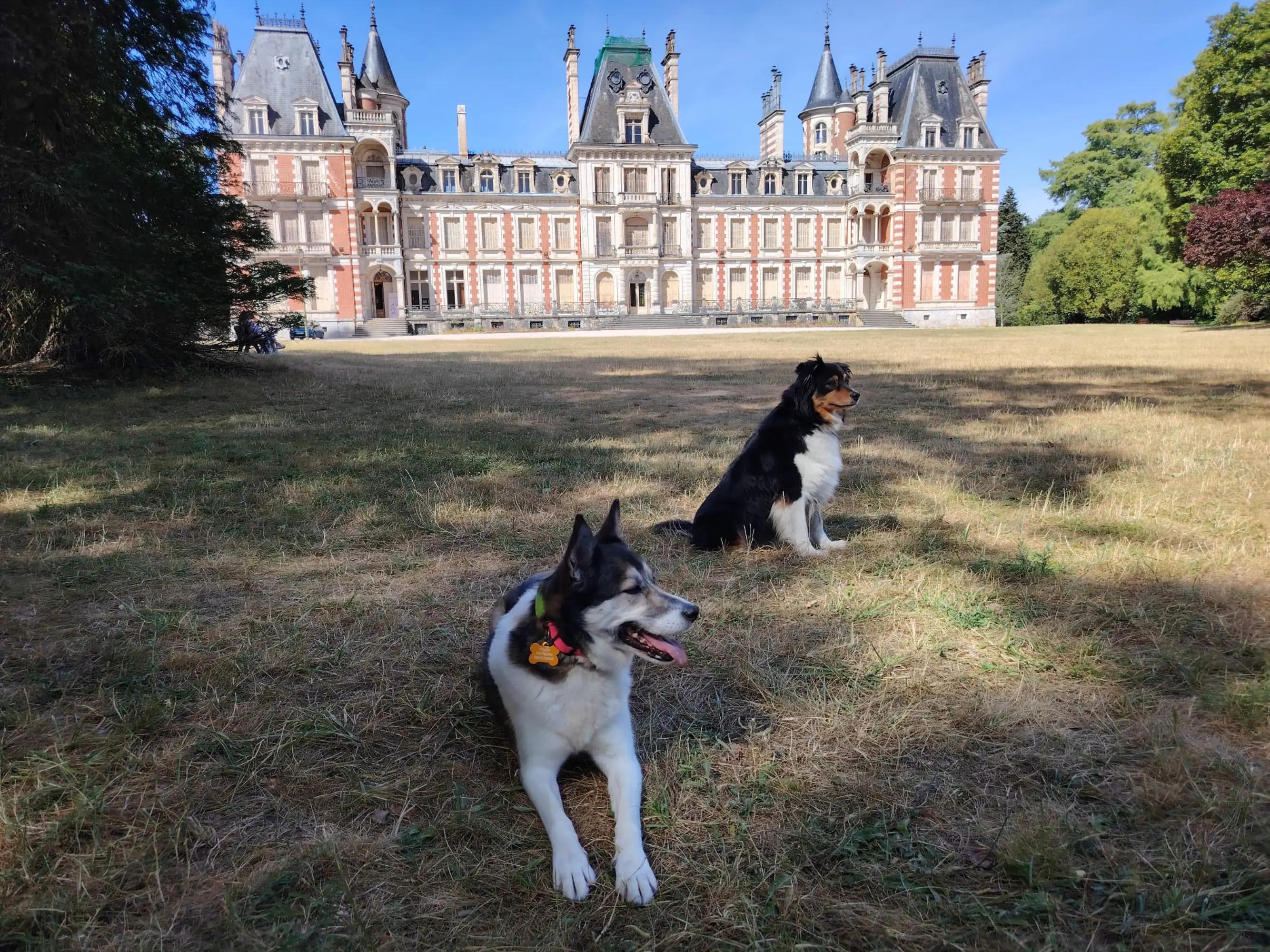 @La petite Lily et ses copains