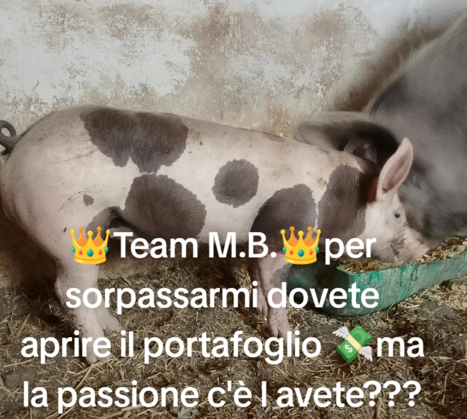 @Stefano Zagara