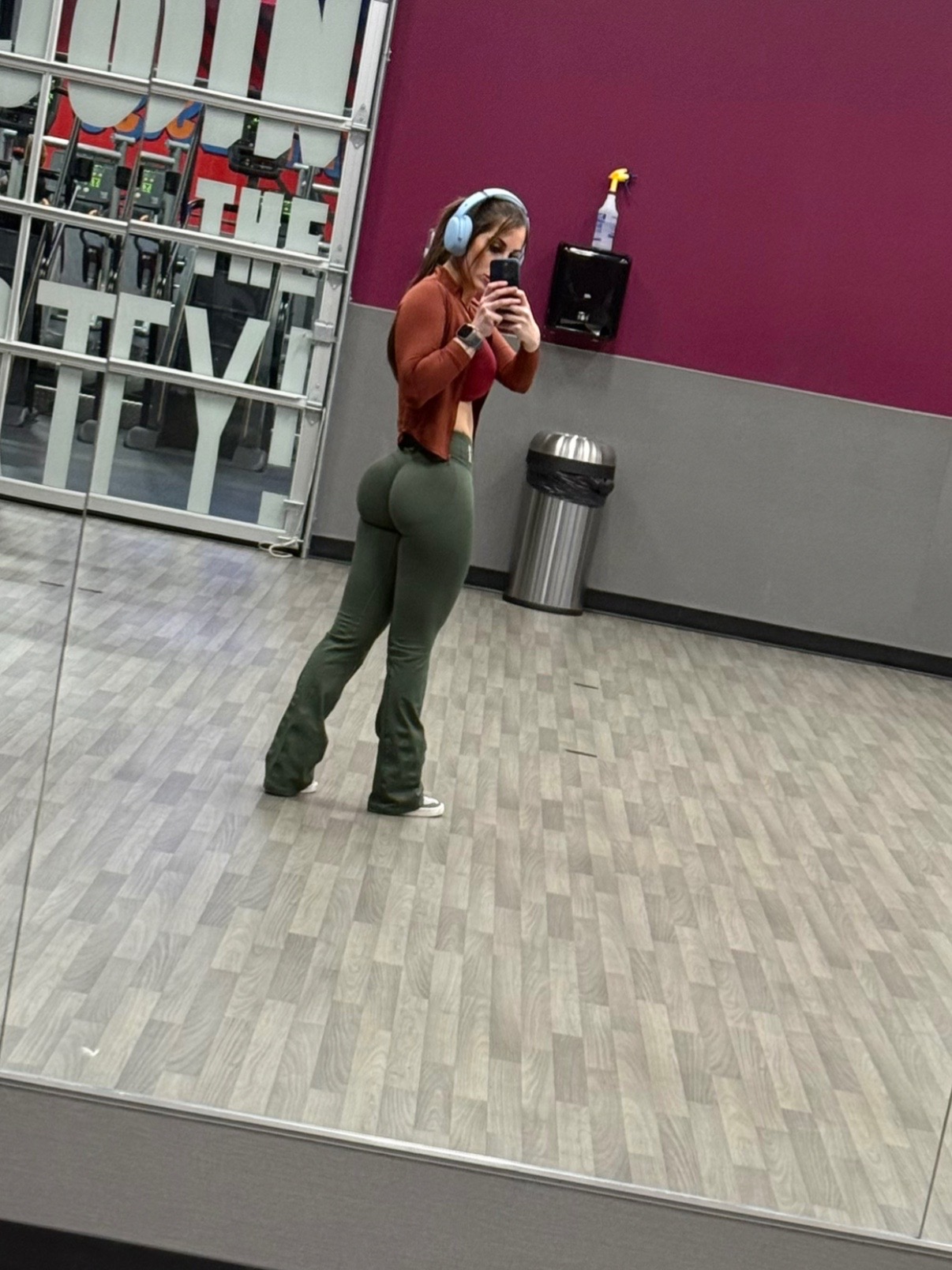 @sw._fit