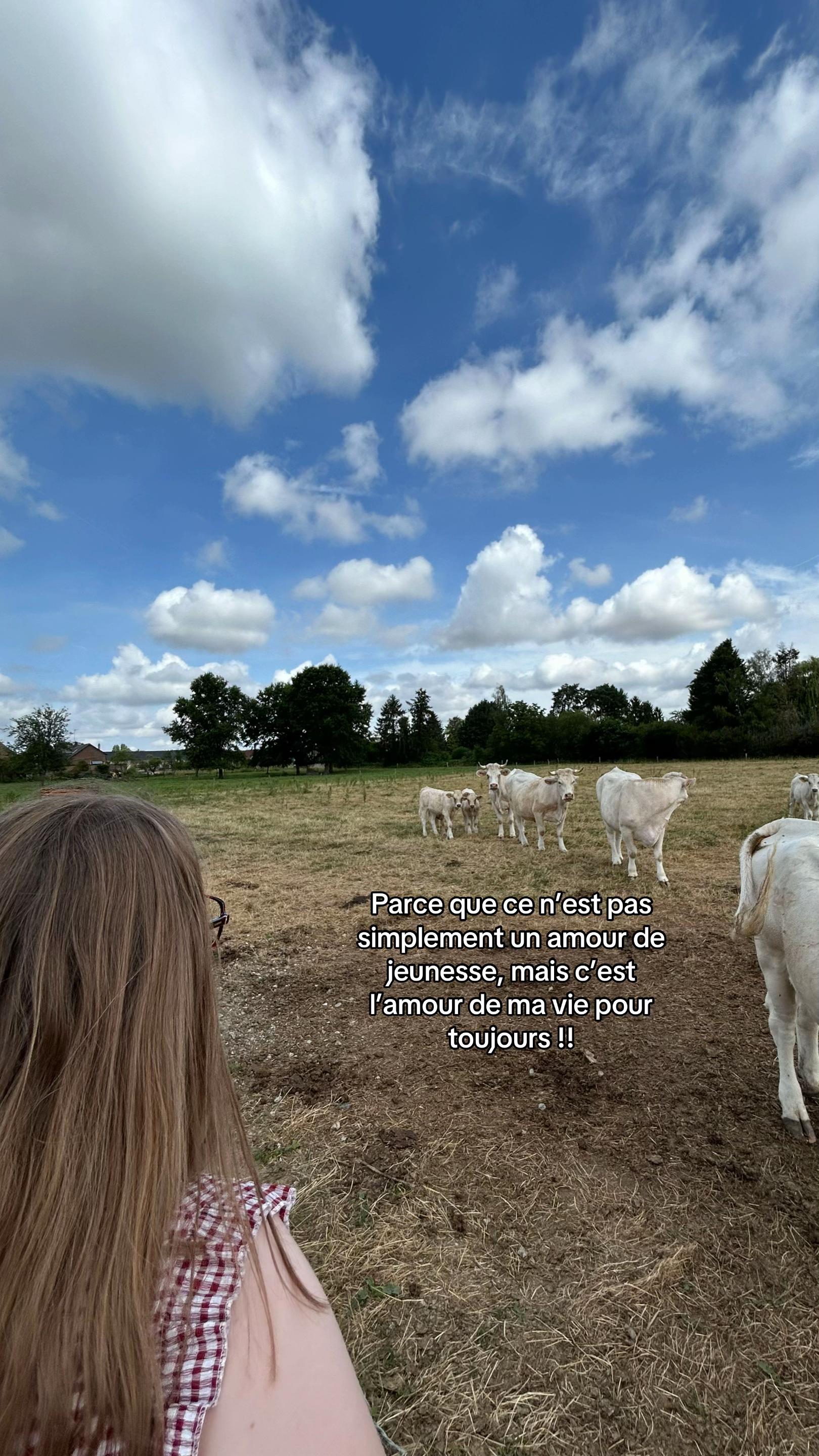 @jules villefroy