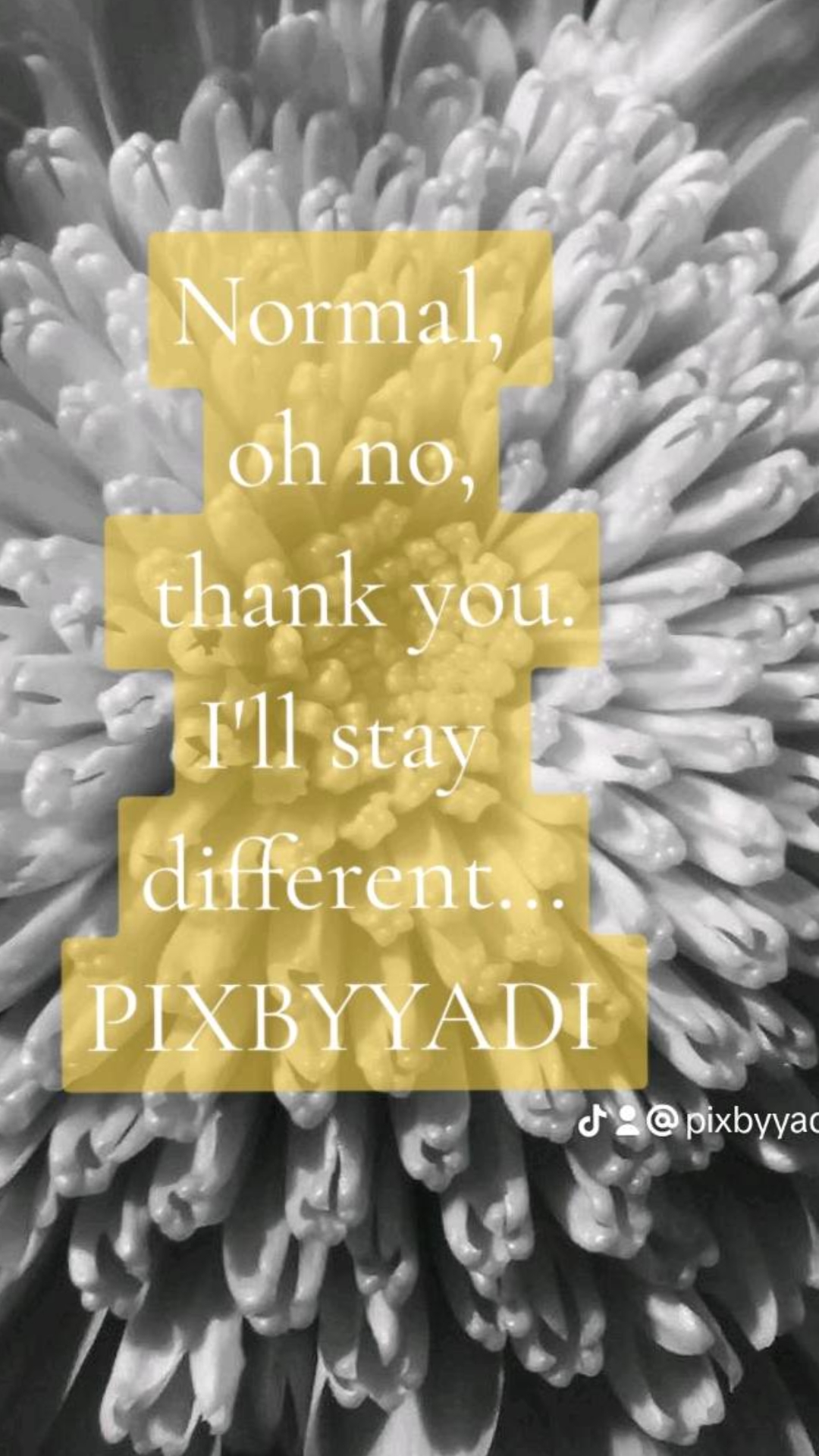 @Yadi
