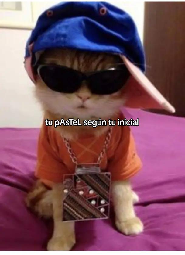 @wenas😻👊💅
