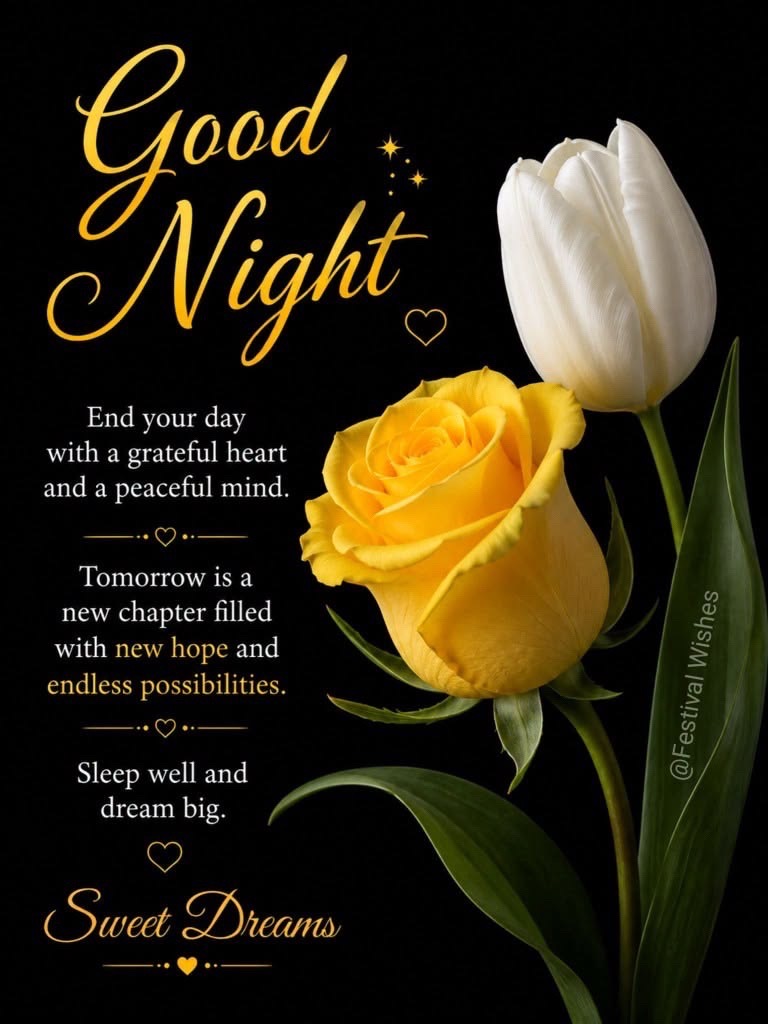 @Sheree S2777