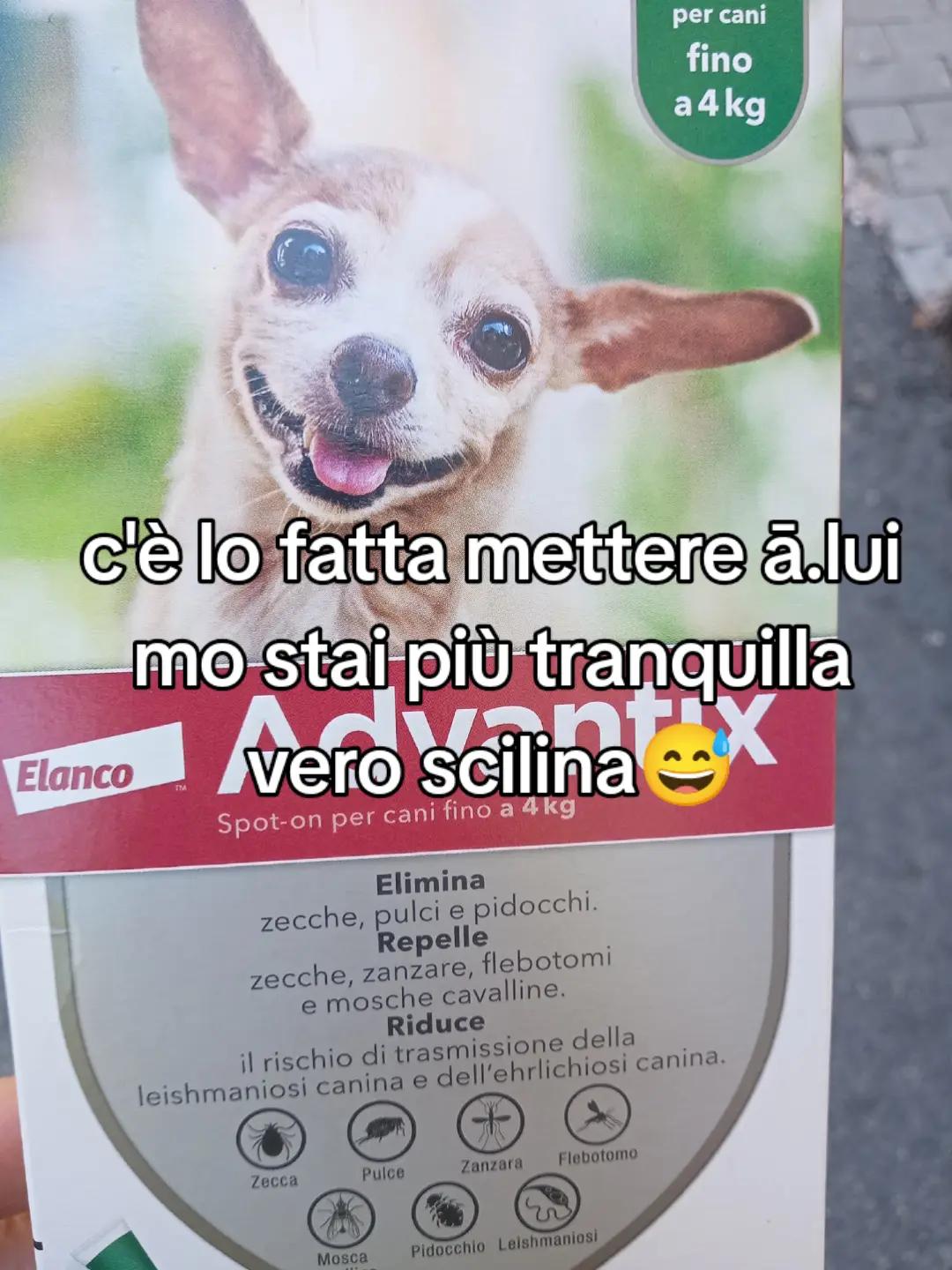 @misteriosa
