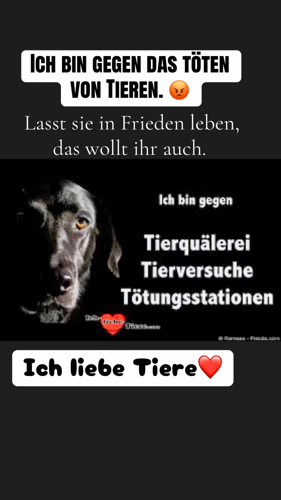 @Ulla. Pfoten-Liebe. ❤️