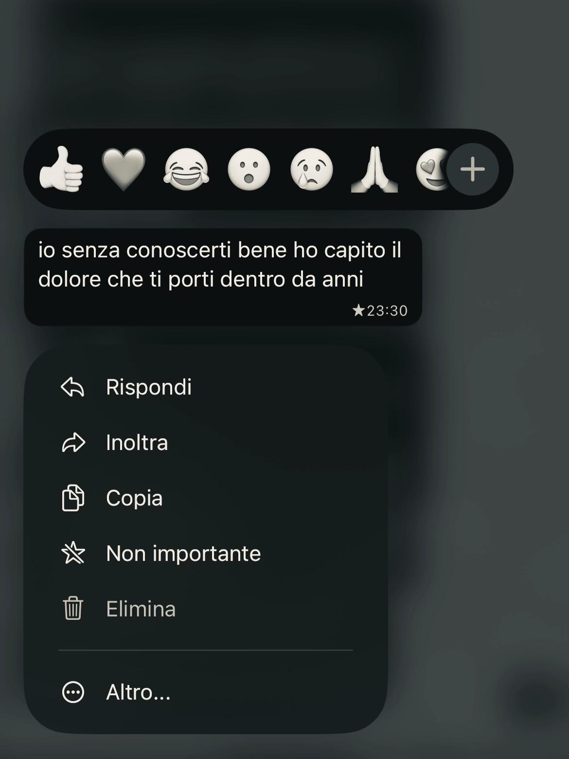 @Ginevra メ𝟶