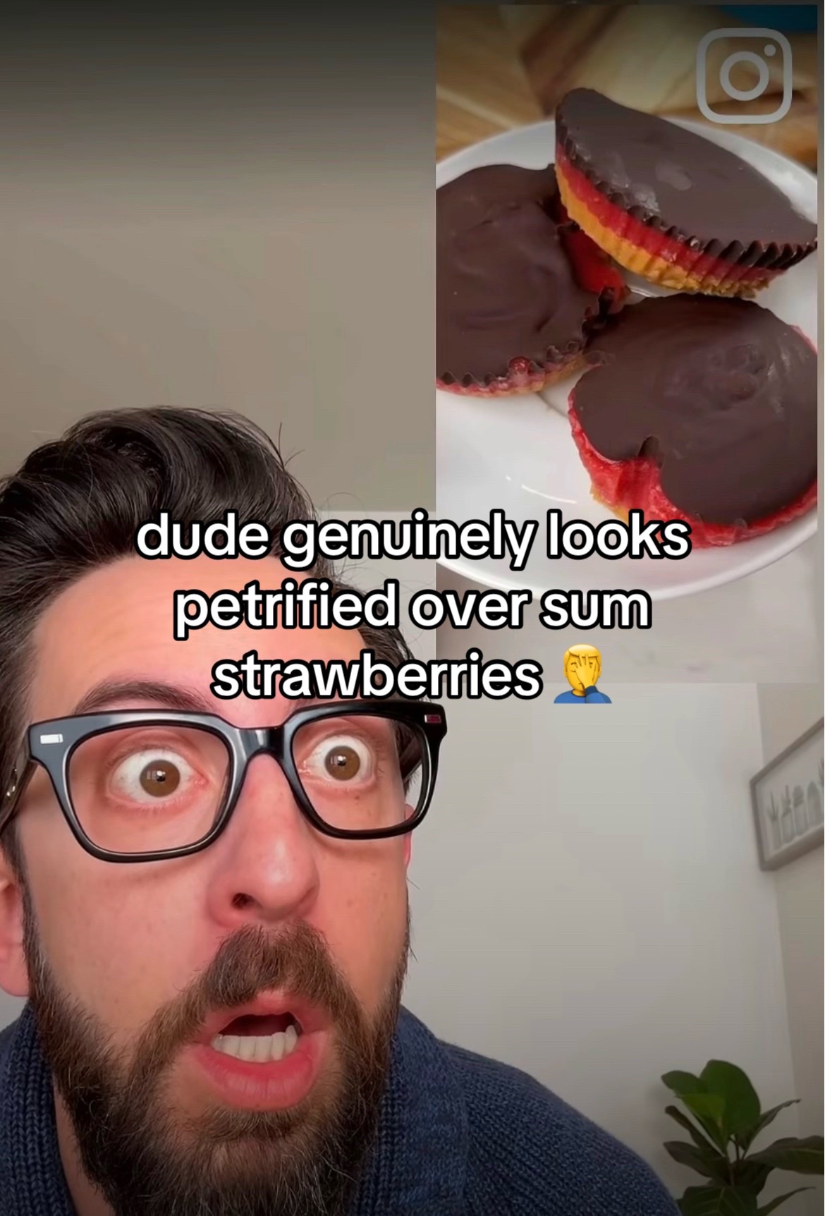 @bloxadise