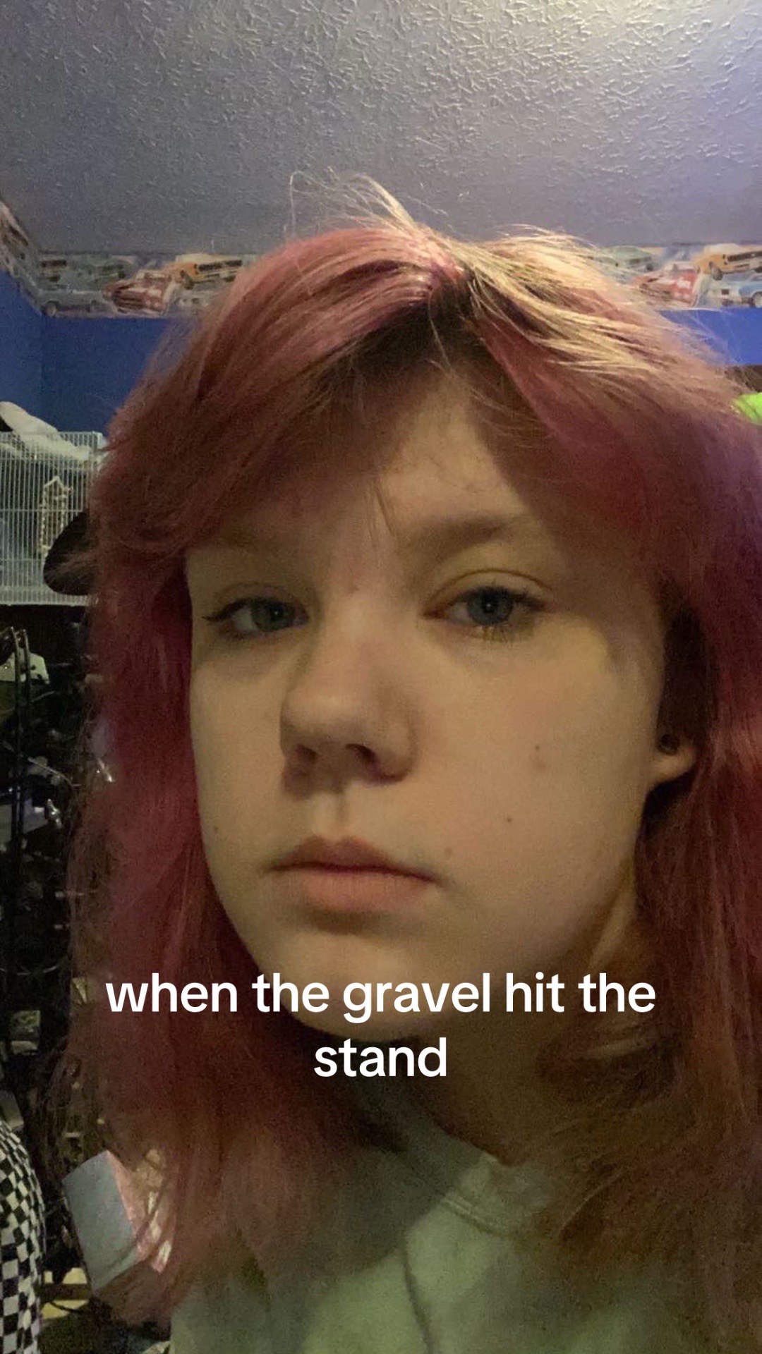 @ᓚᘏᗢ