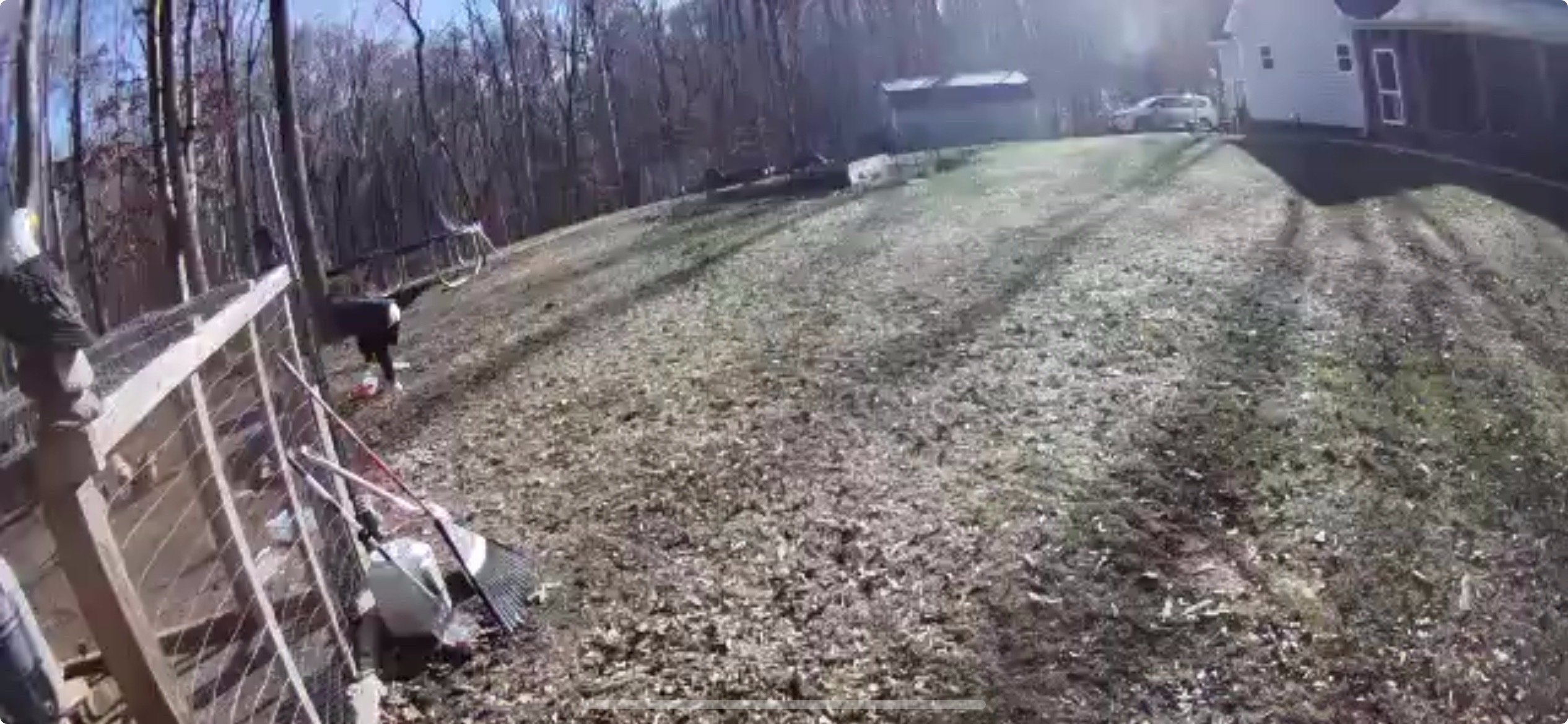 @TheBurtonBunch