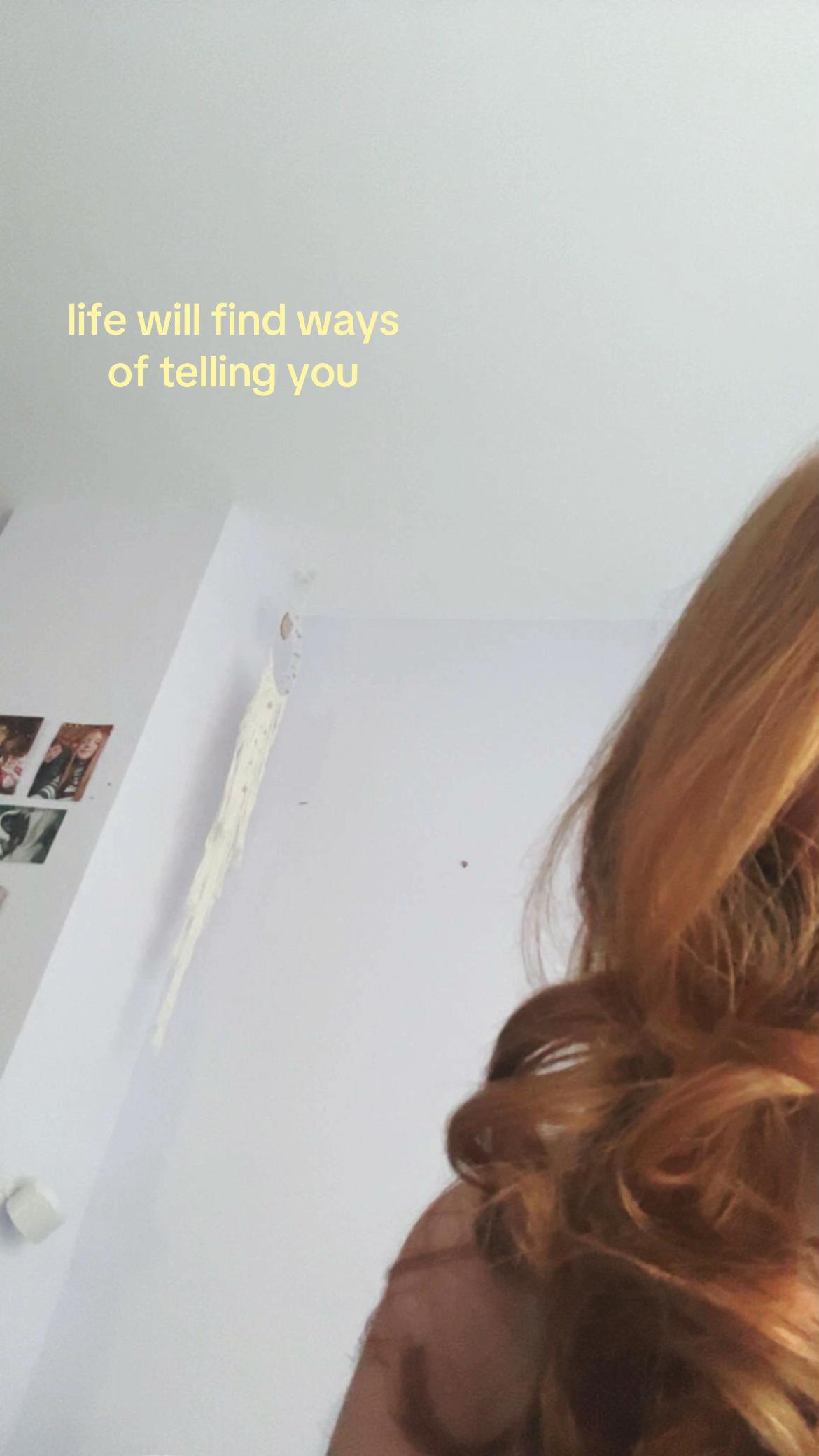 @luna🧸