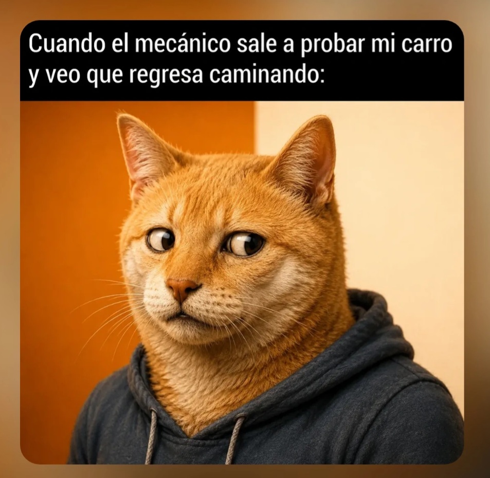@el panda solitario