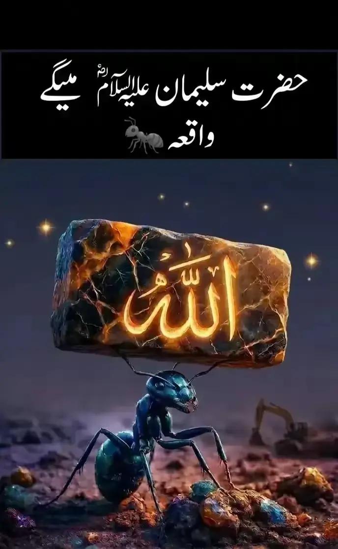 @☝️🕋 Naveed Islamic World 🕋☝️