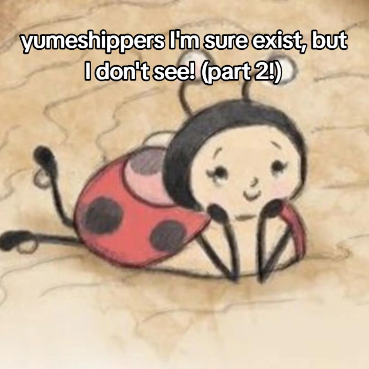@⁺˚*･Todd's Lovebug 🐞 ‧͙⁺˚