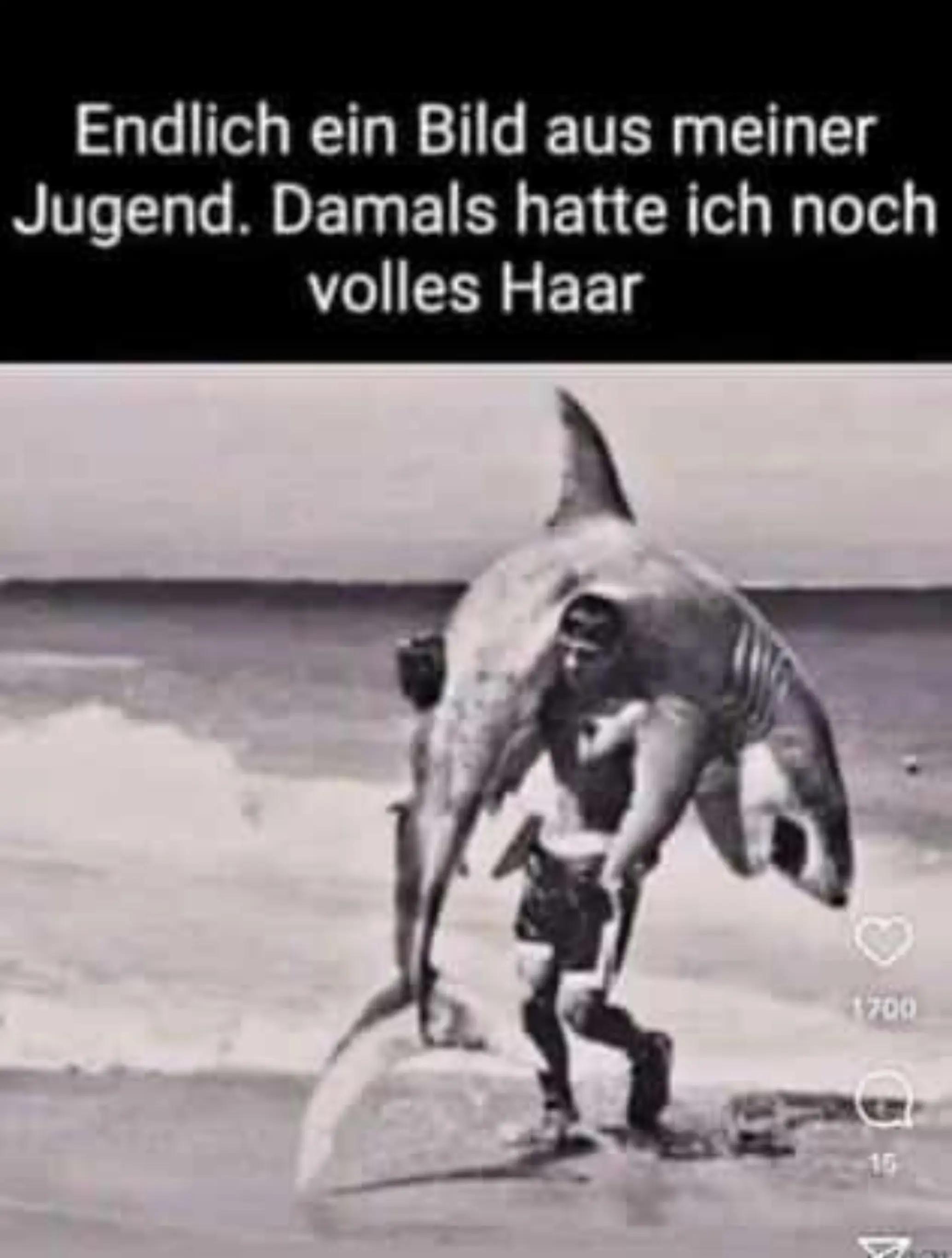 @Ruhepohl 🙏🏻🤪
