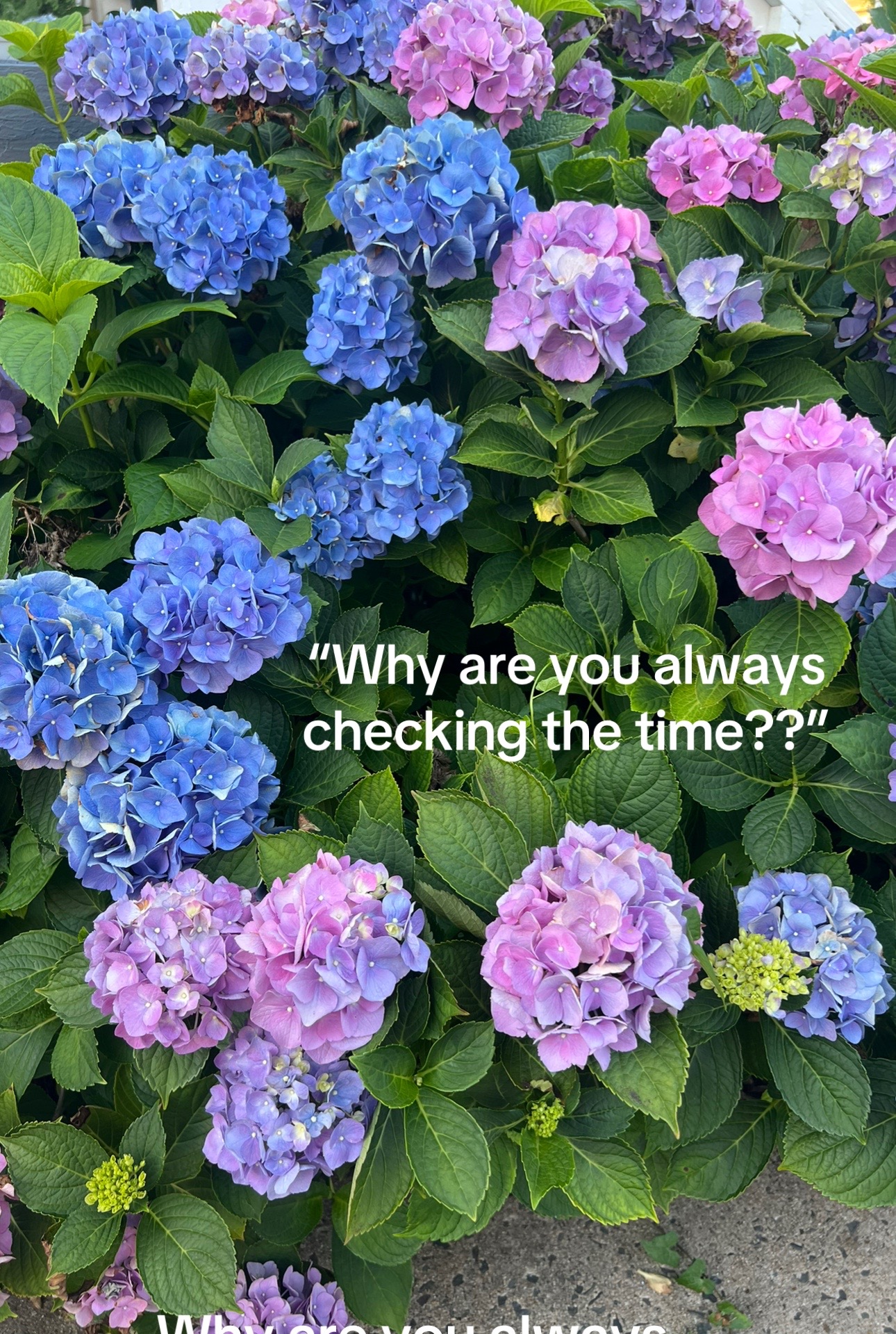 @Courtney M