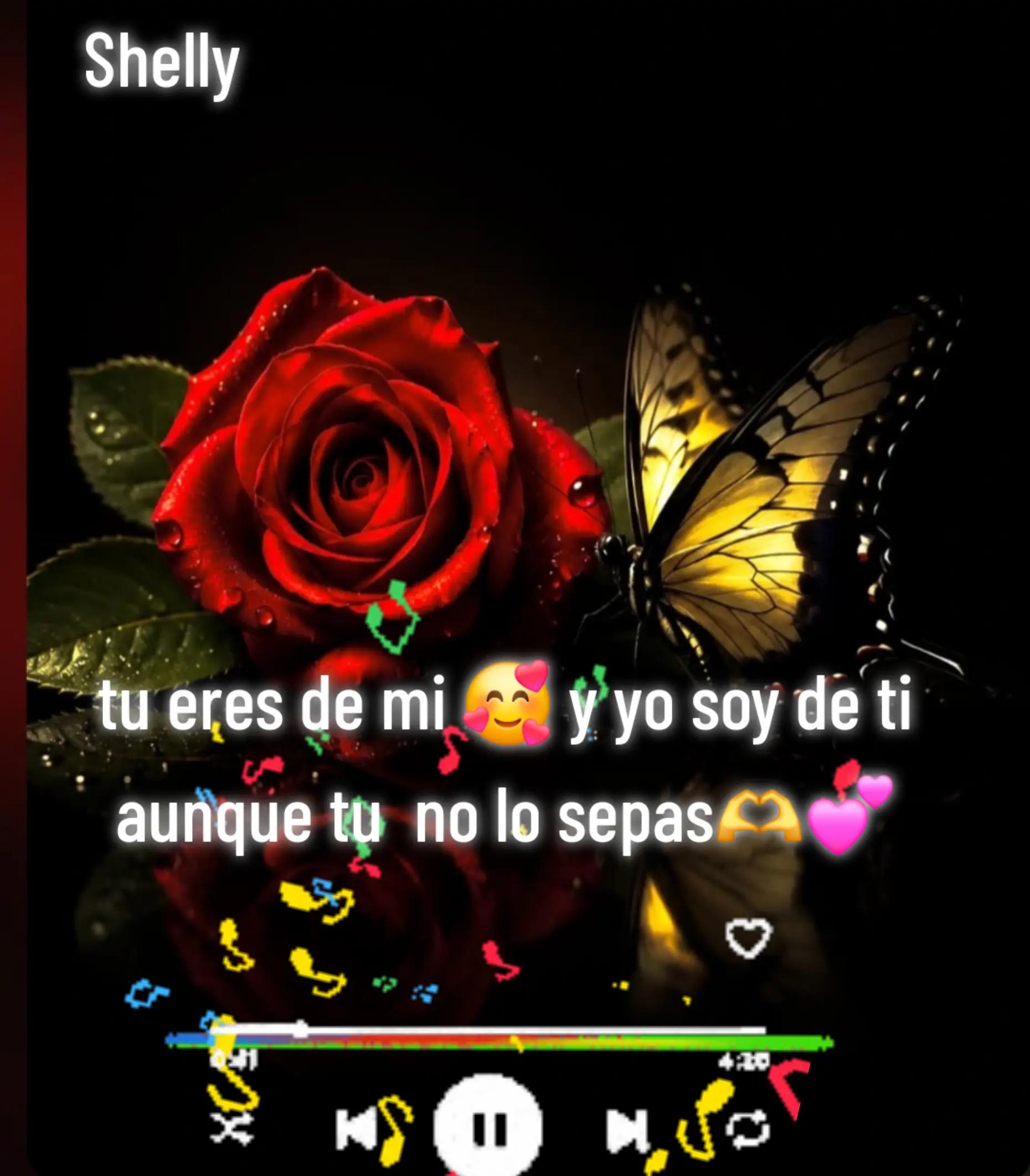 @Shelly  ALRz🙏🏻✨️💫🫶🍀🦋👑