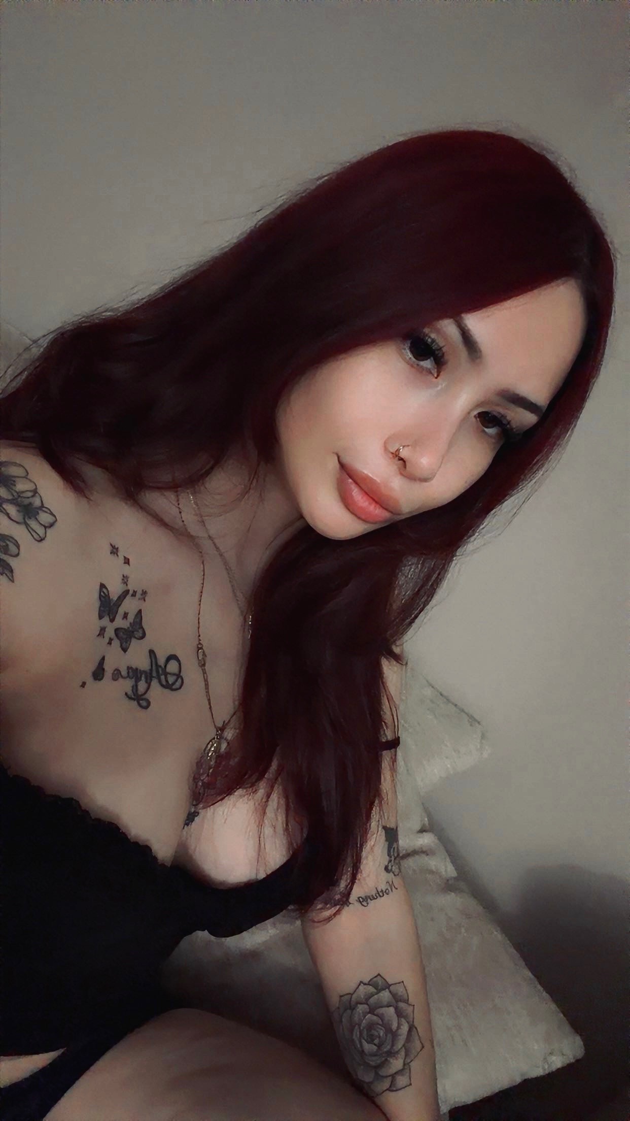 @⋆.˚🦢⋆ ༄