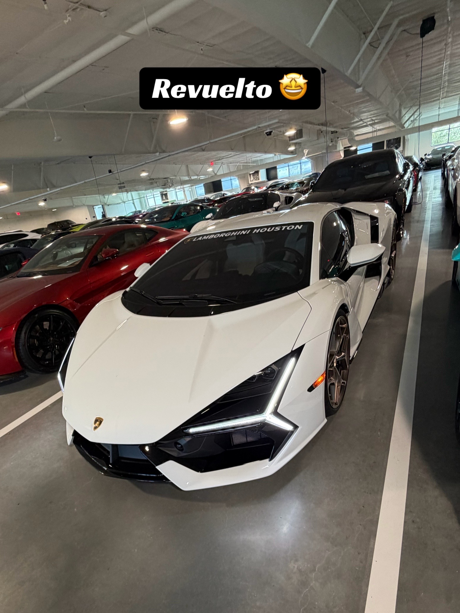@exotic.trent
